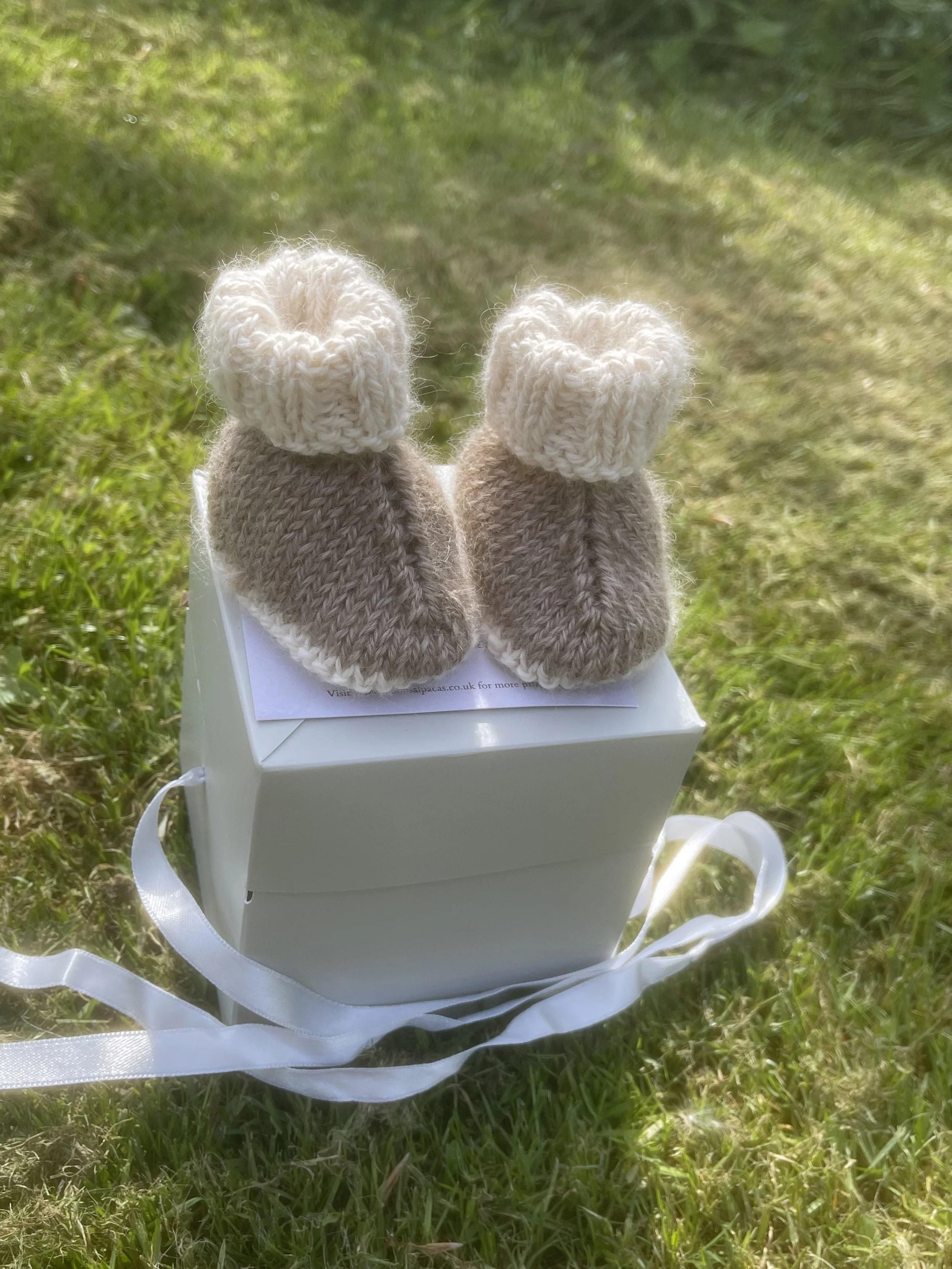 booties coffee2.jpeg