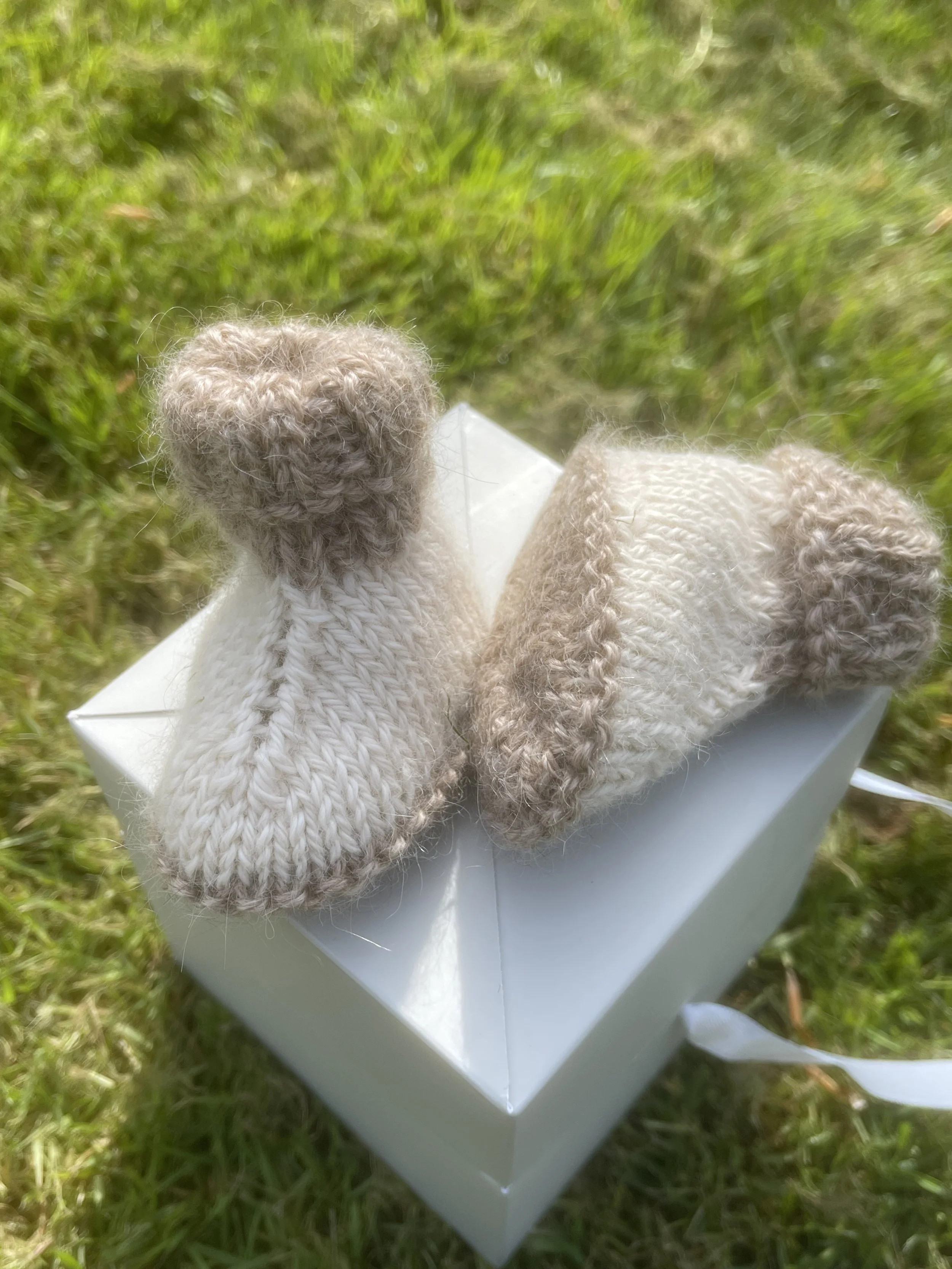 booties cream3.jpeg