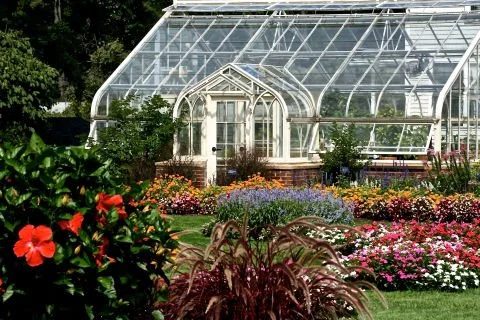 Elizabeth Park Spring Greenhouse Show