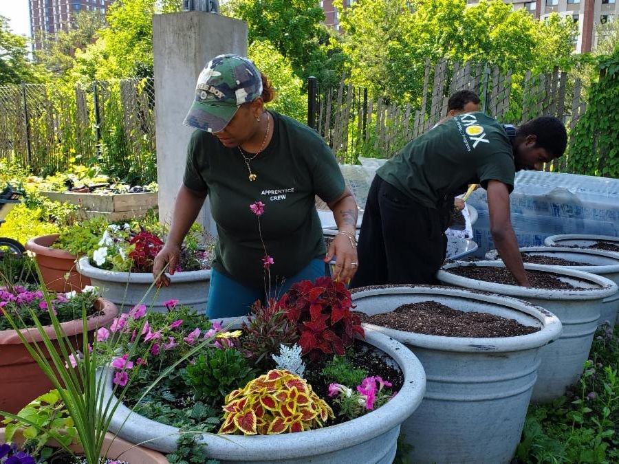 KNOX Encourages Community Growth