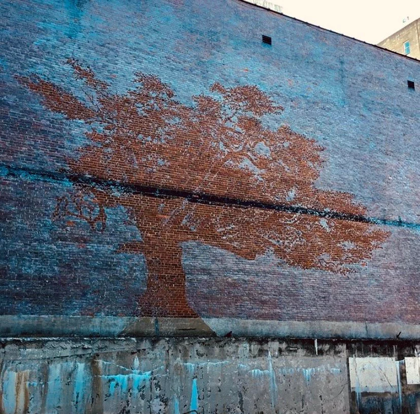 The Season of Light - Resilience In The Face of Darkness