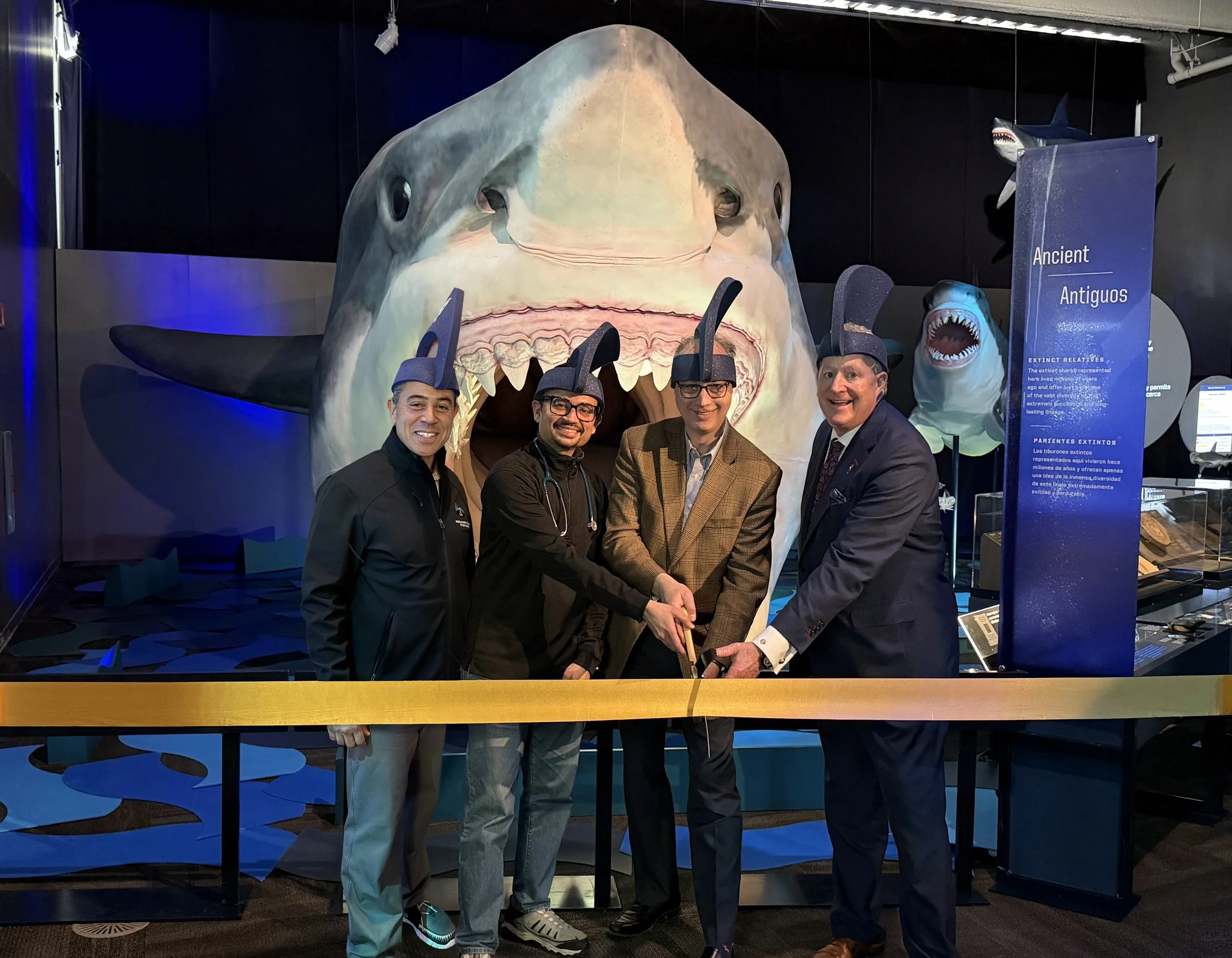 Dive In: New Sharks Exhibition Now Open