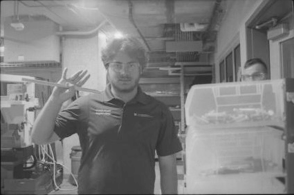 guido - work