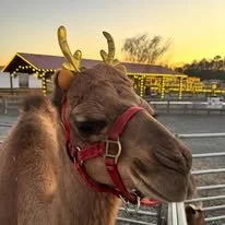 Family Farm Day Ticket July 25th and 26th