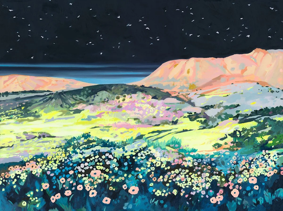 Migration over Carrizo Plain 30x40" Oil & Acrylic