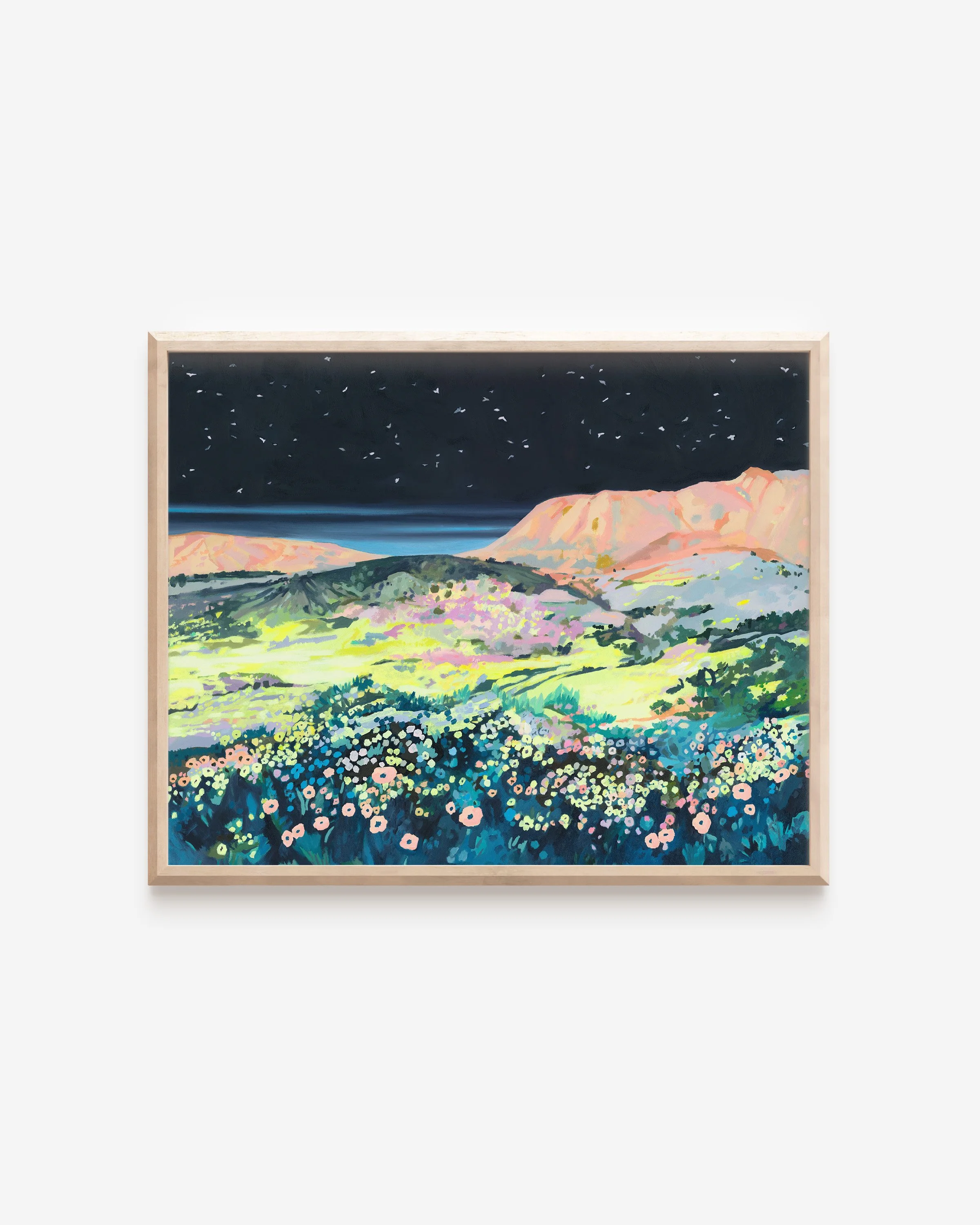 migration-over-carrizo-plain-mockup-natural-plain.jpg
