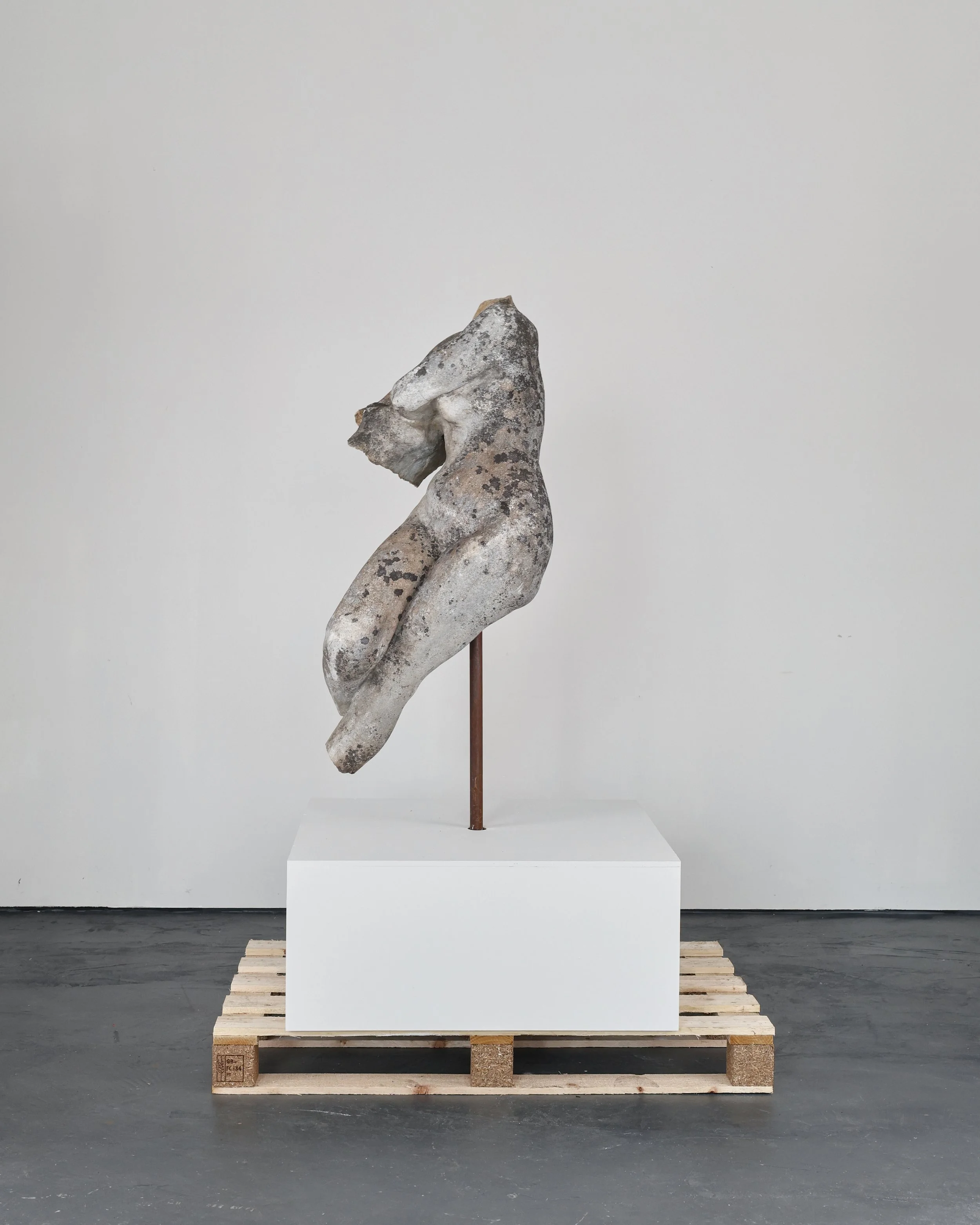 Pro-Capture One 1030.jpg