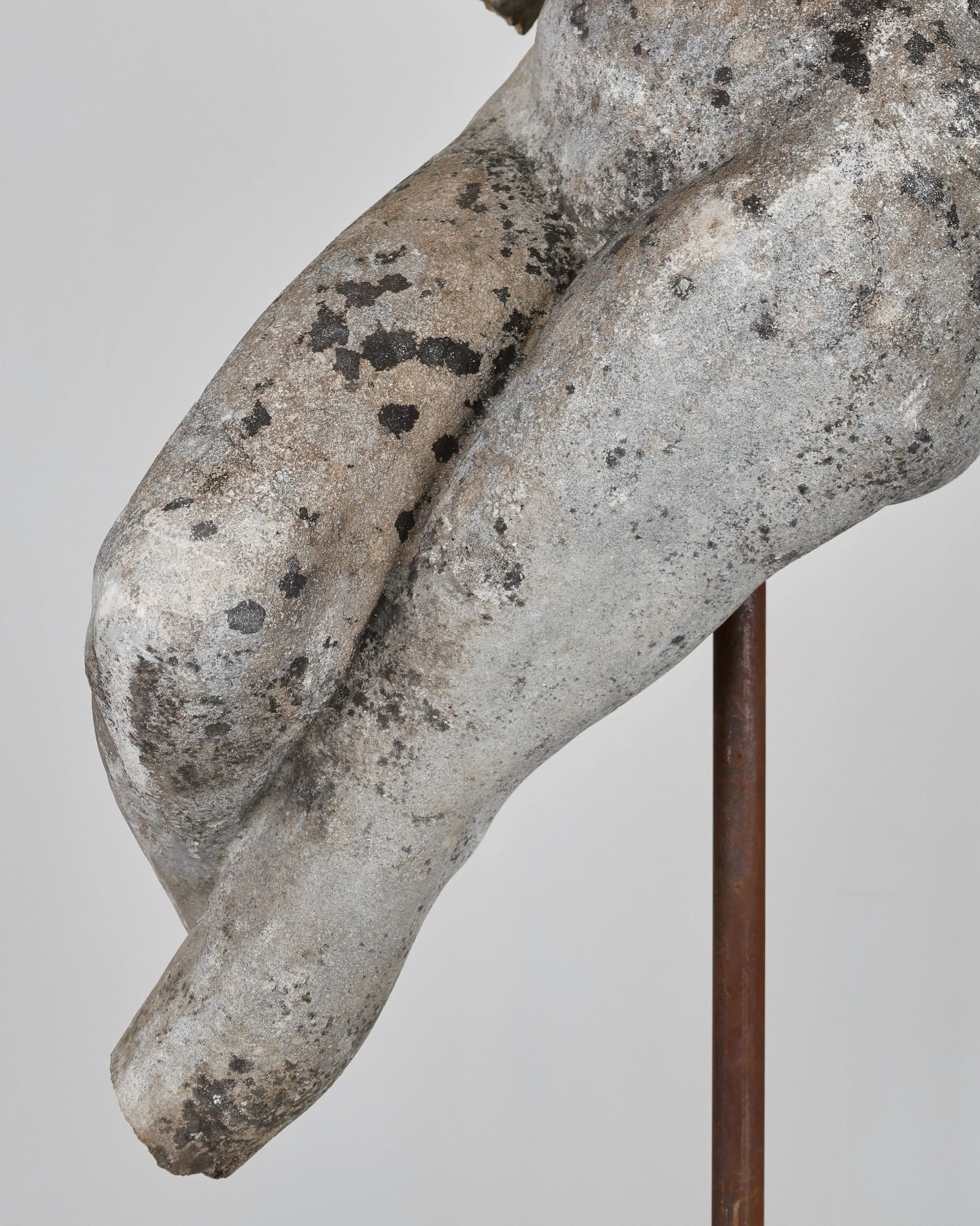 Pro-Capture One 1037.jpg