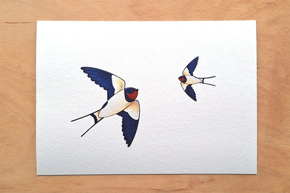 Print Swallows.jpg