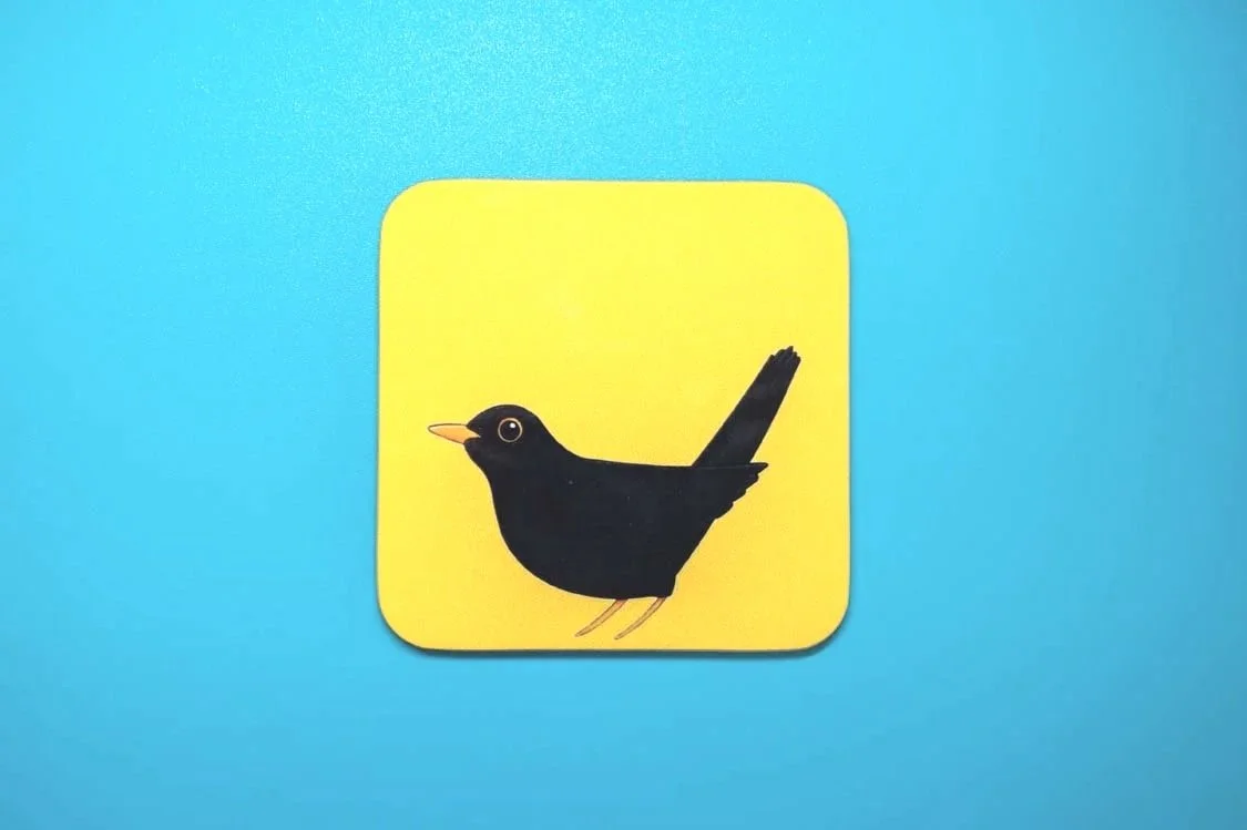 blackbird coaster