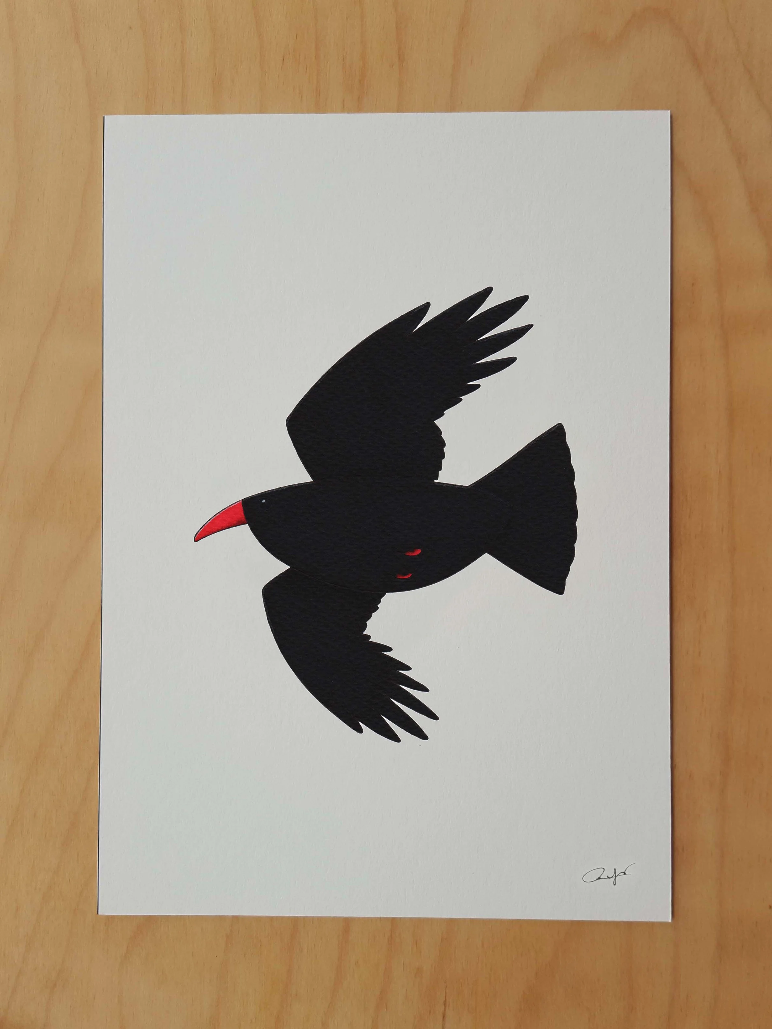 Print Chough Flying.jpg