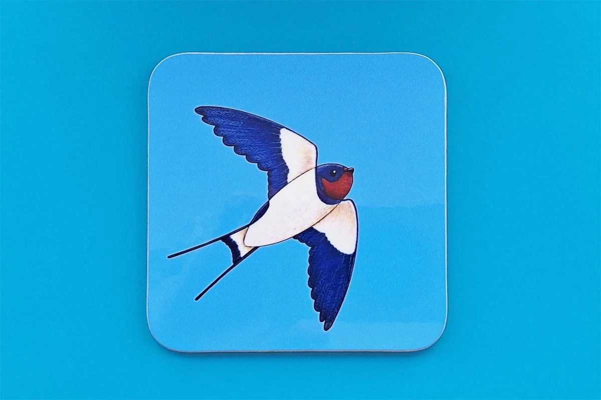 Coaster Swallow.jpg