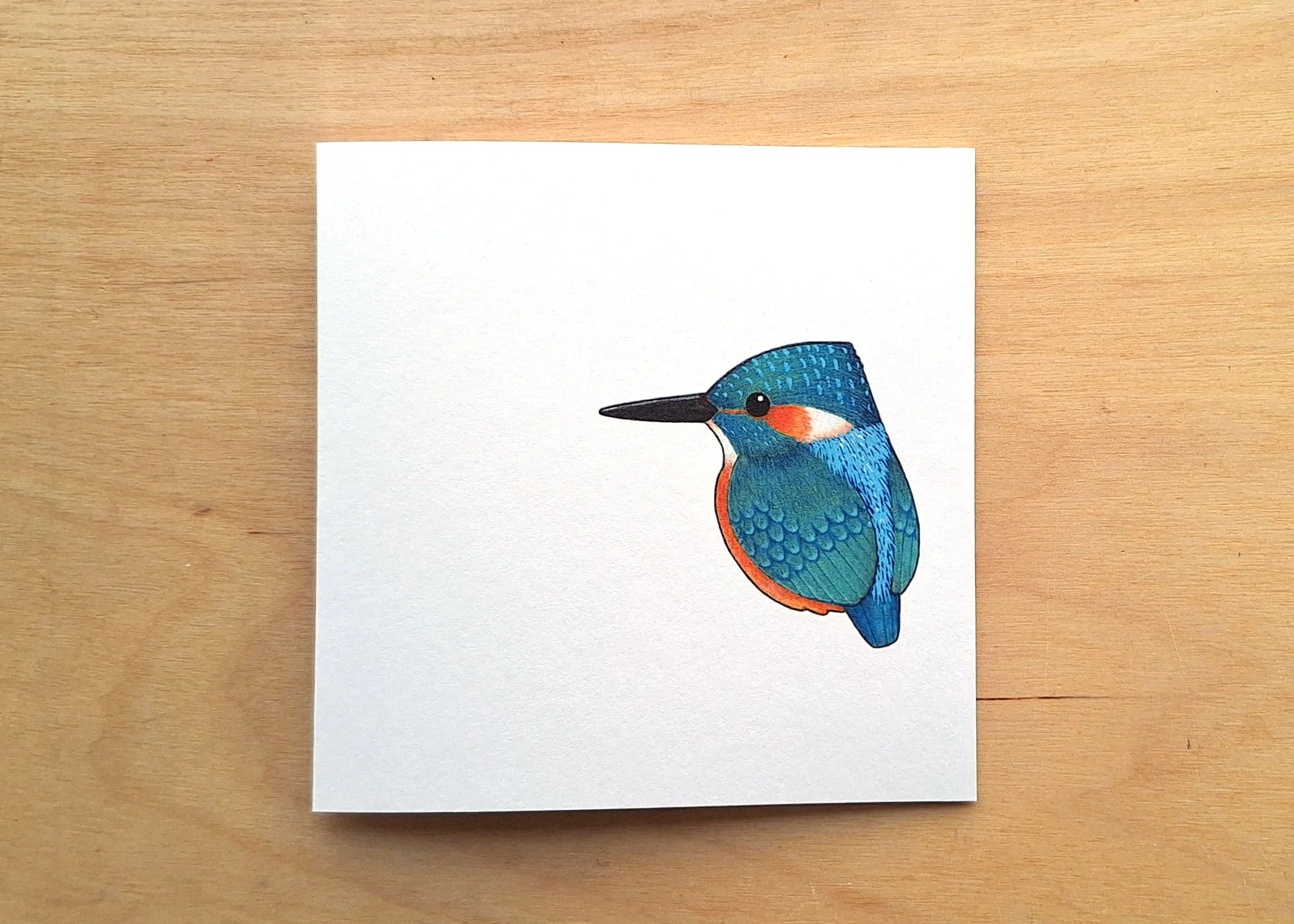 Card Kingfisher.jpg