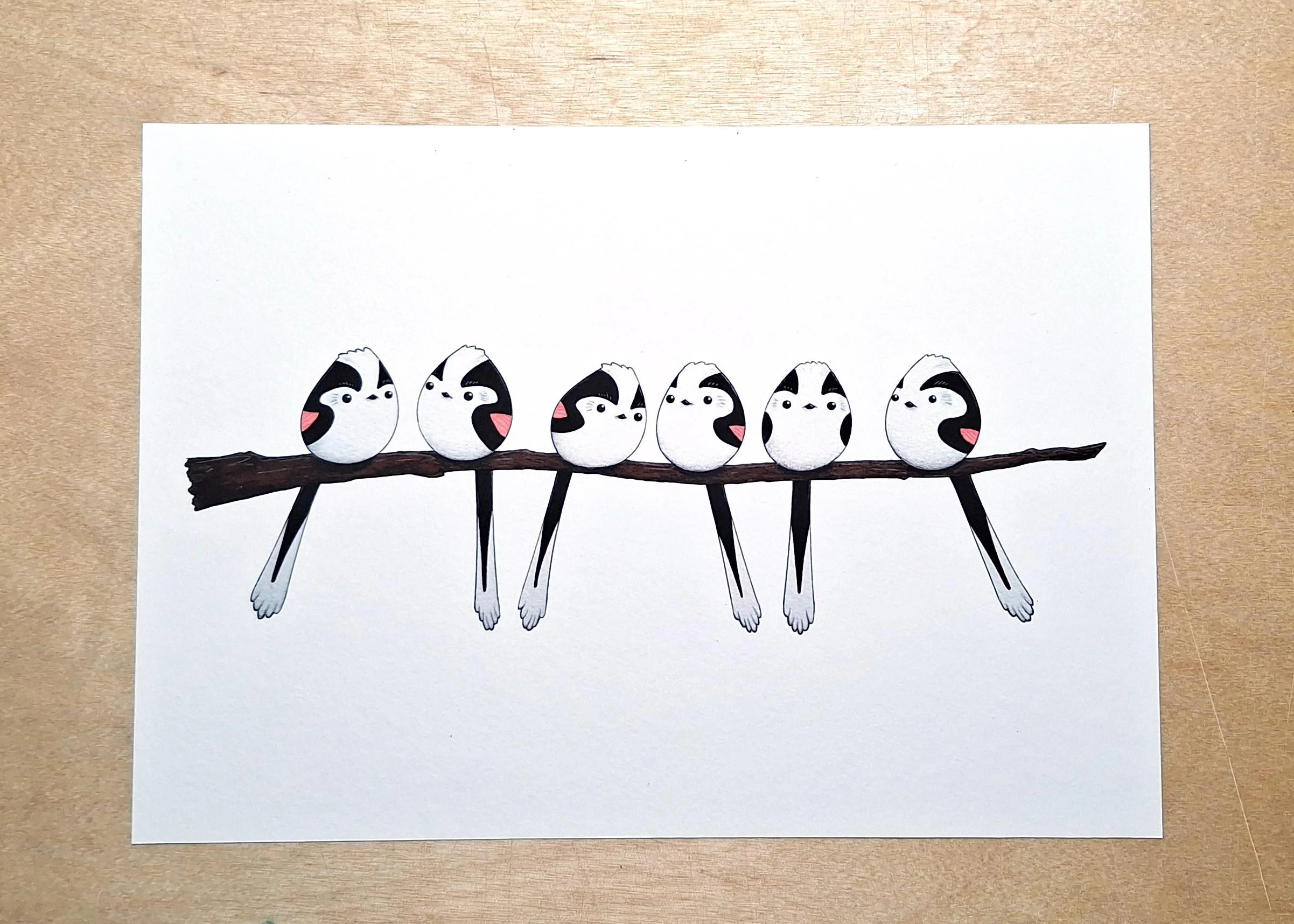 Print Long-Tails group.jpg