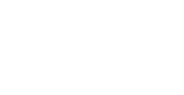 Molly Hauxwell Currier, Wedding Photographer