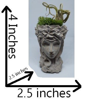https://i.etsystatic.com/34767768/r/il/771f66/4091111767/il_fullxfull.4091111767_70aq.jpg