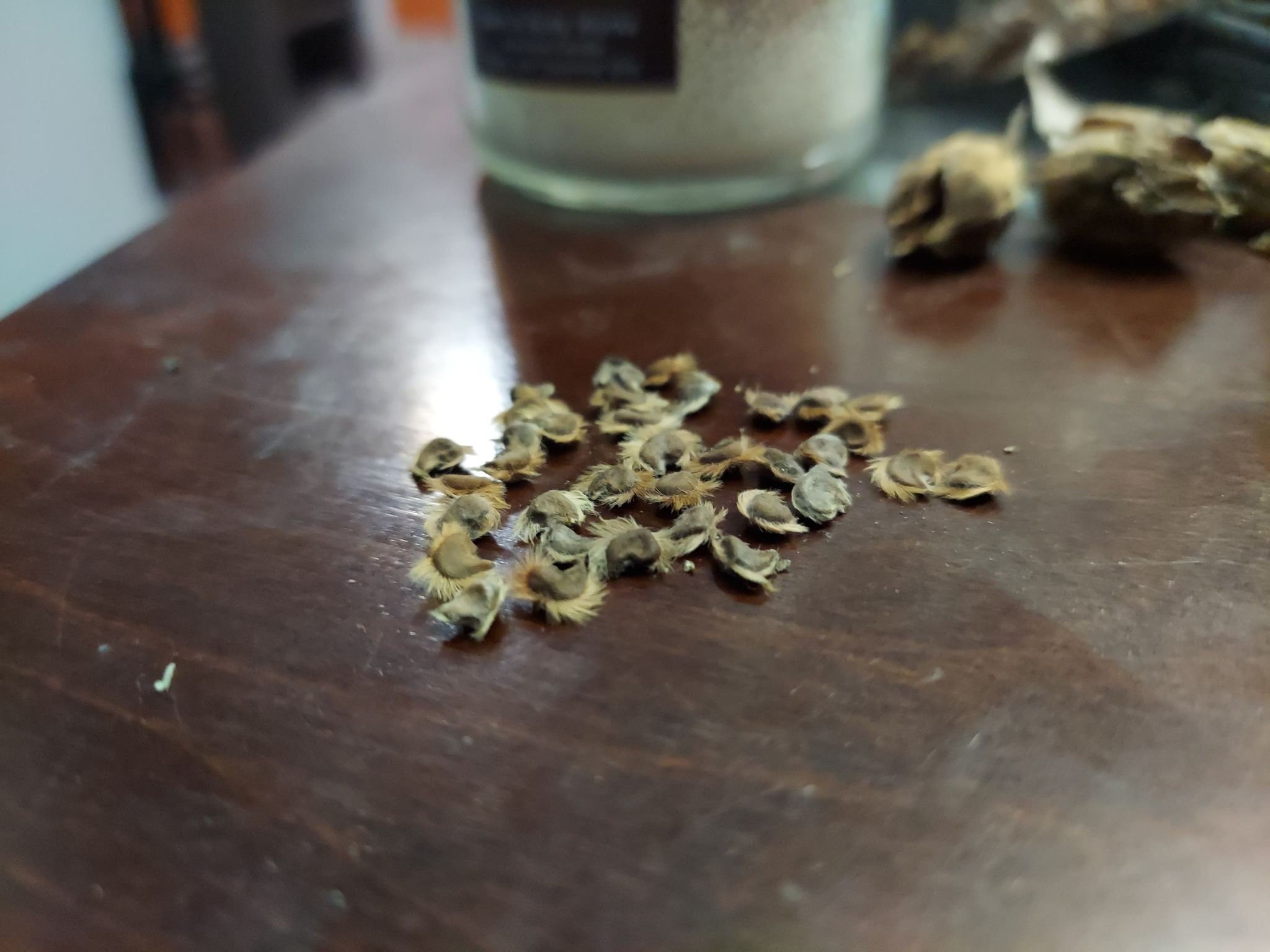 https://i.etsystatic.com/34767768/r/il/c49a9e/3896821917/il_fullxfull.3896821917_p36a.jpg