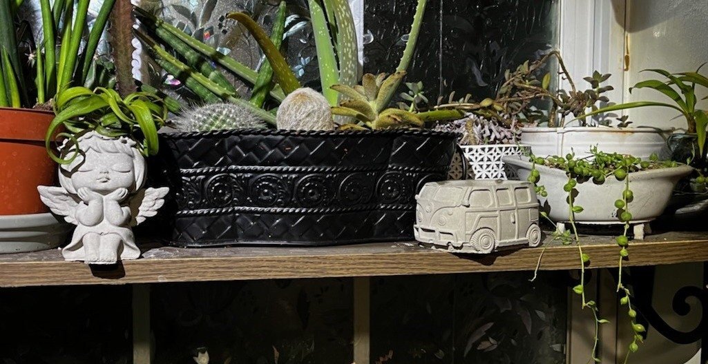 https://i.etsystatic.com/34767768/r/il/d908bf/5638608702/il_fullxfull.5638608702_fgz1.jpg