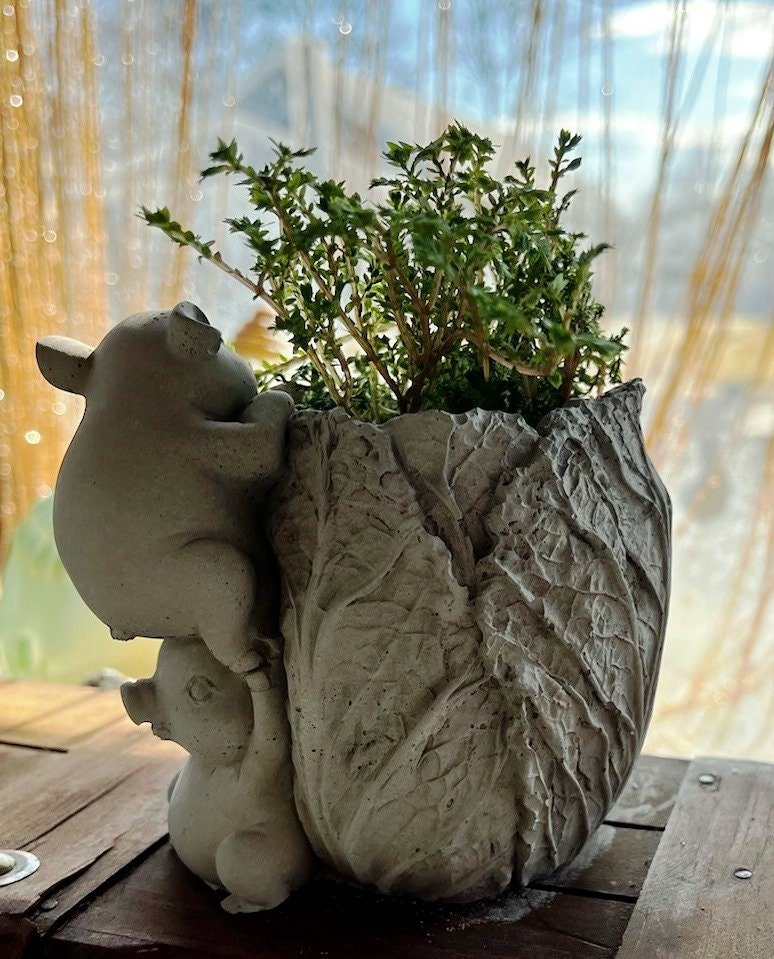 https://i.etsystatic.com/34767768/r/il/94710e/5807384407/il_fullxfull.5807384407_3bcw.jpg