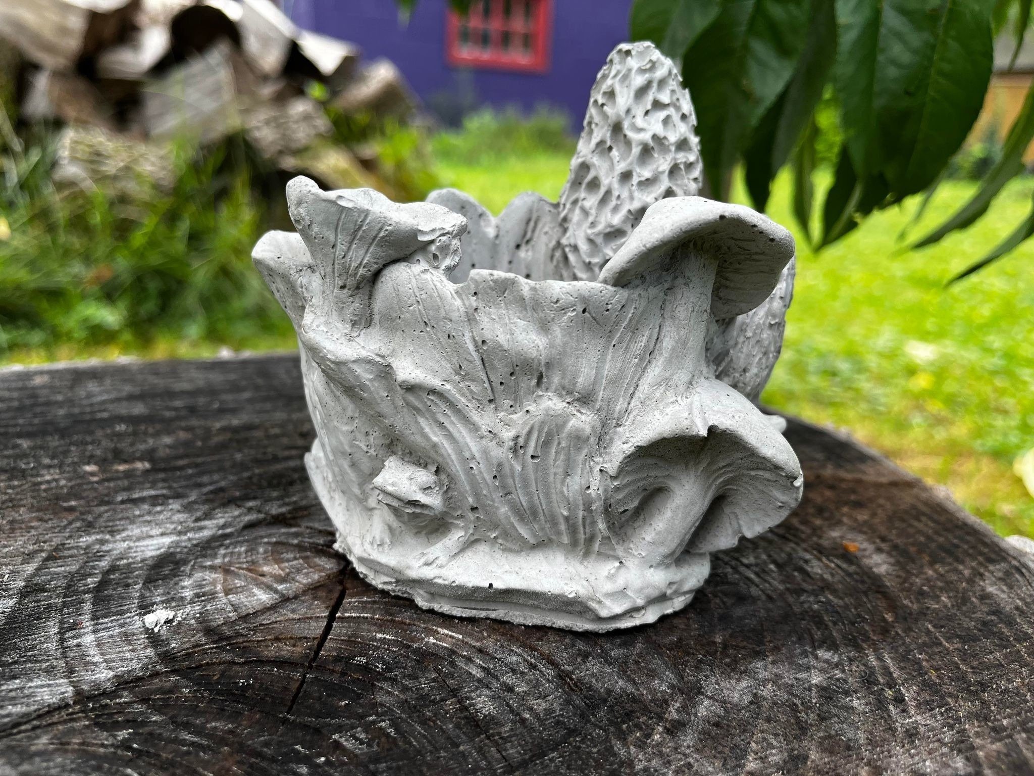 https://i.etsystatic.com/34767768/r/il/3b3f0c/5213316251/il_fullxfull.5213316251_ibtu.jpg