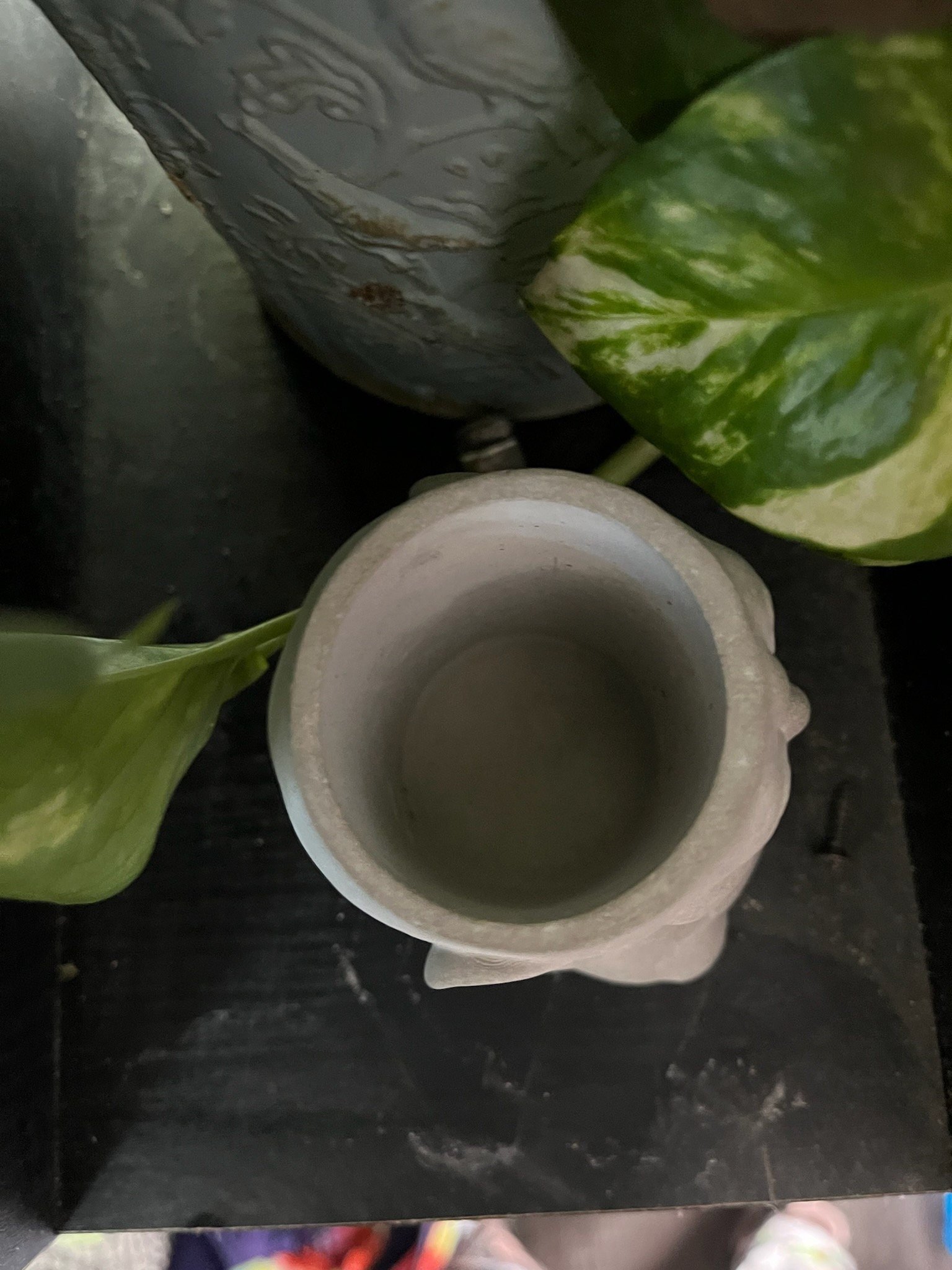 https://i.etsystatic.com/34767768/r/il/75c80d/5695730172/il_fullxfull.5695730172_7auo.jpg