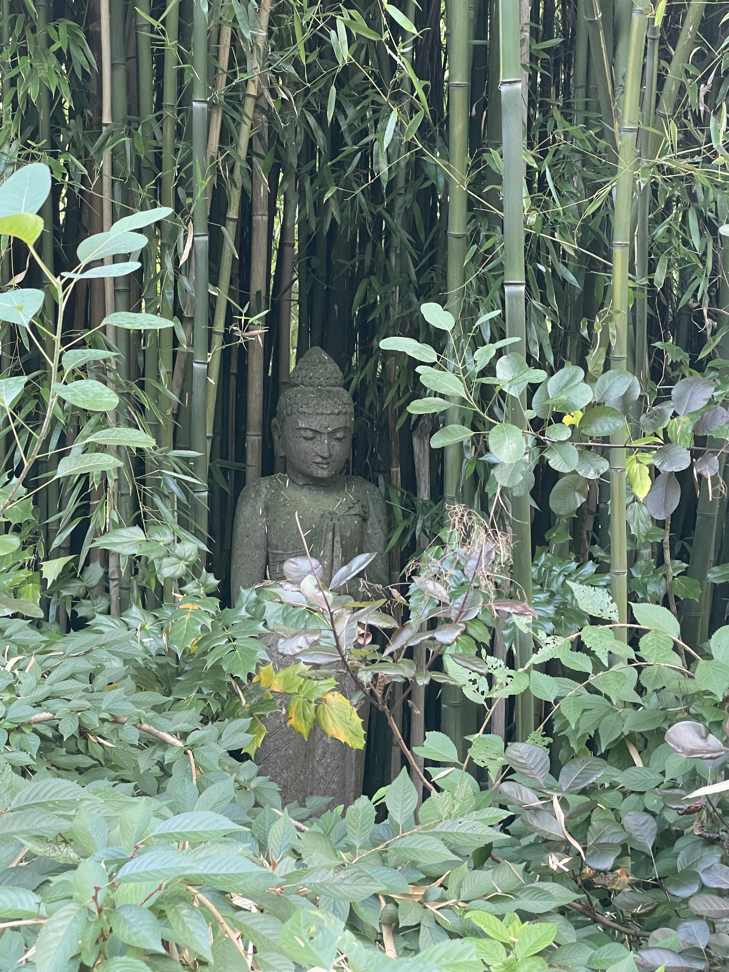 Bohemian Splendor In Solebury TWP, PA