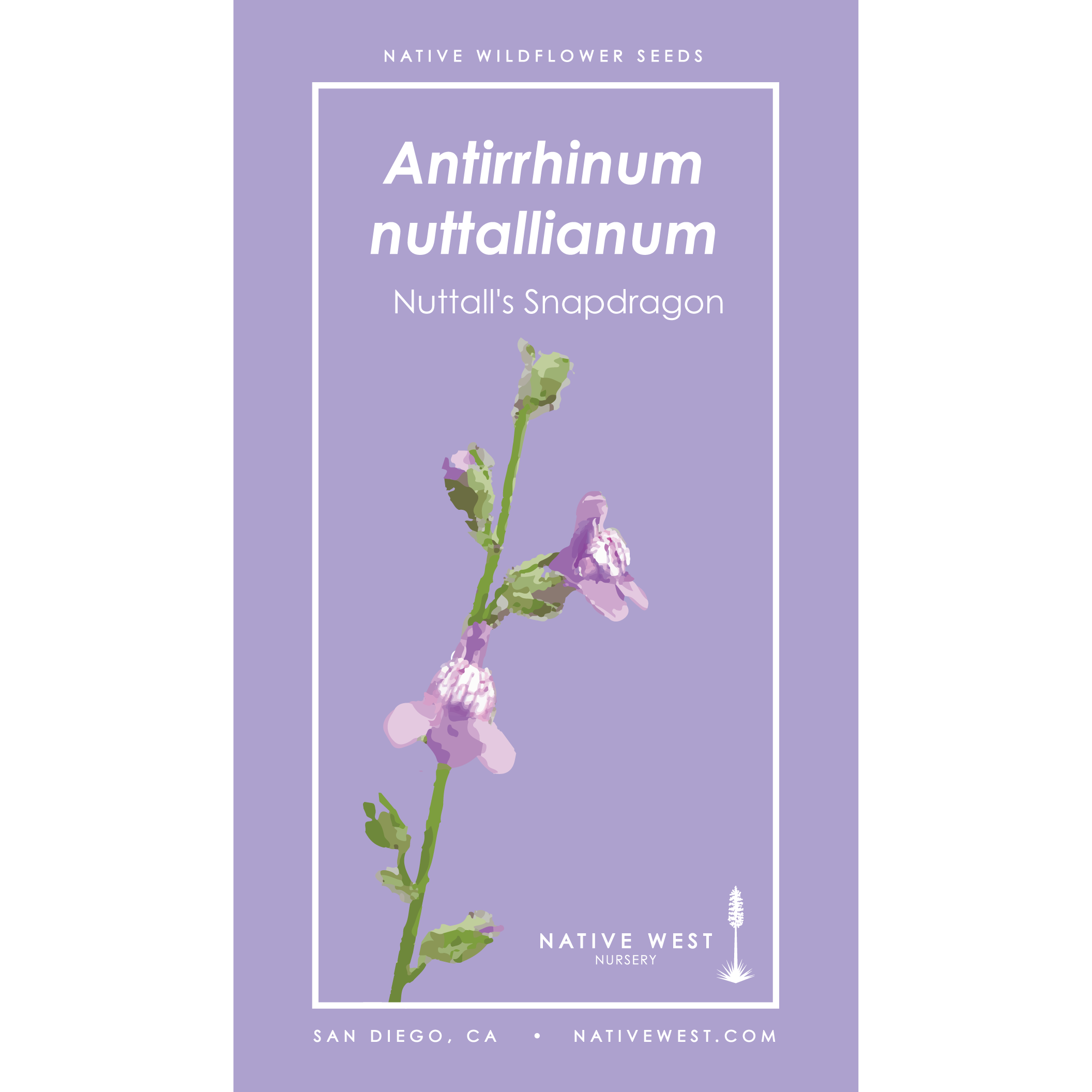 Antirrhinum nuttallianum seed packet from Native West Nursery, labeled as 'Nuttall's Snapdragon,' with an illustration of the plant’s flower on a light purple background.