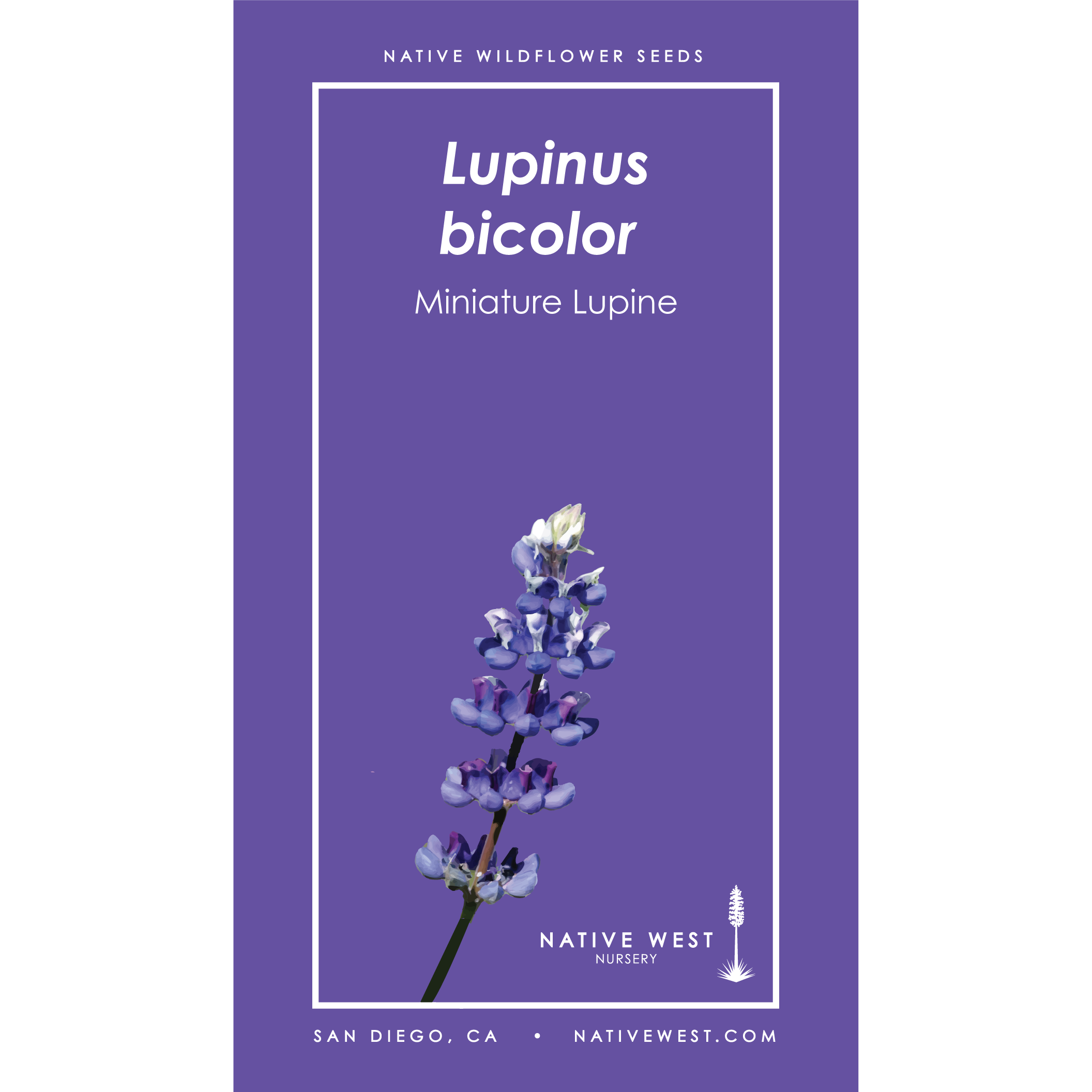 Lupinus bicolor (Miniature Lupine) Seeds