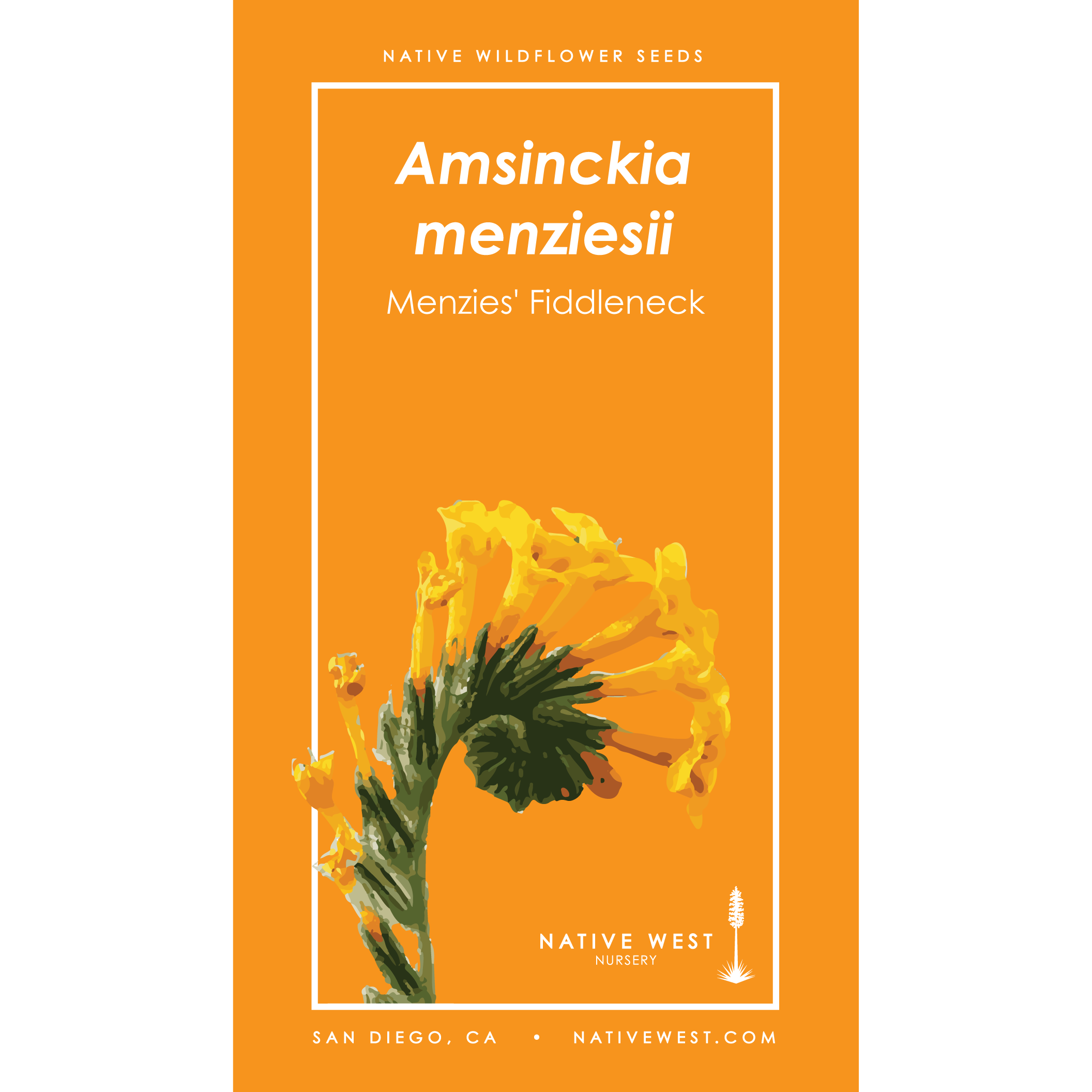 Amsinckia menziesii seed packet from Native West Nursery, labeled as 'Menzies' Fiddleneck,' featuring an illustration of the plant’s bright orange-yellow flowers on an orange background