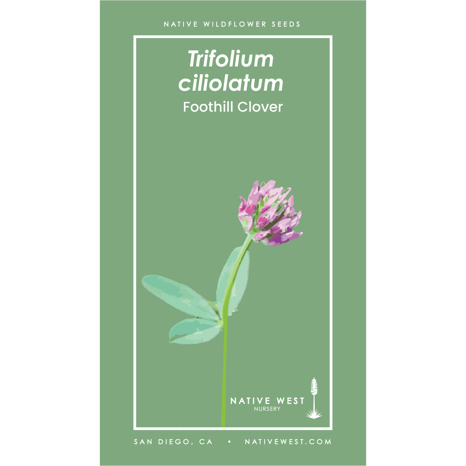 Seed packet design featuring Trifolium ciliolatum (Foothill Clover) with an illustration of a clover flower on a green background.