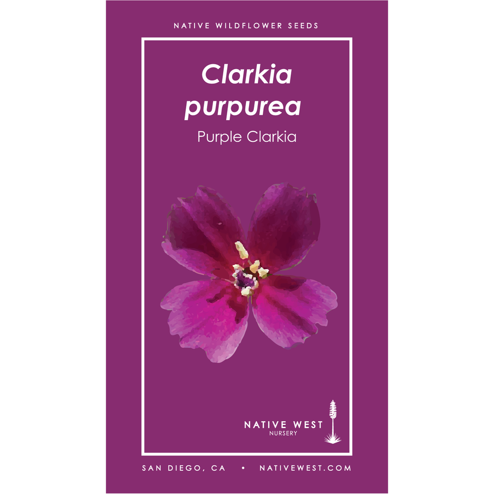 plant fenugreek seeds Back to the Roots Organic Fenugreek, 1 Seed packet