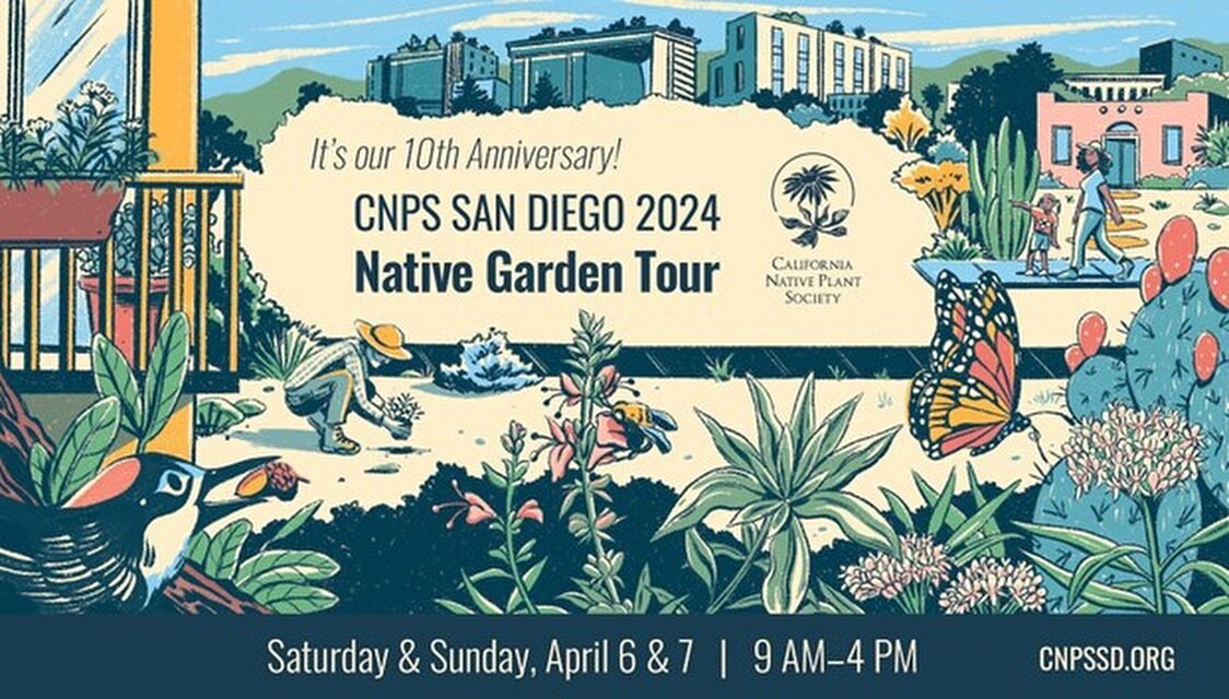 Looking for some native garden design inspiration? The annual California Native Plant Society Garden Tour is a great way to take home some ideas for your own garden! 32 gardens in San Diego county will be open for visitors April 6-7.

This year is a 
