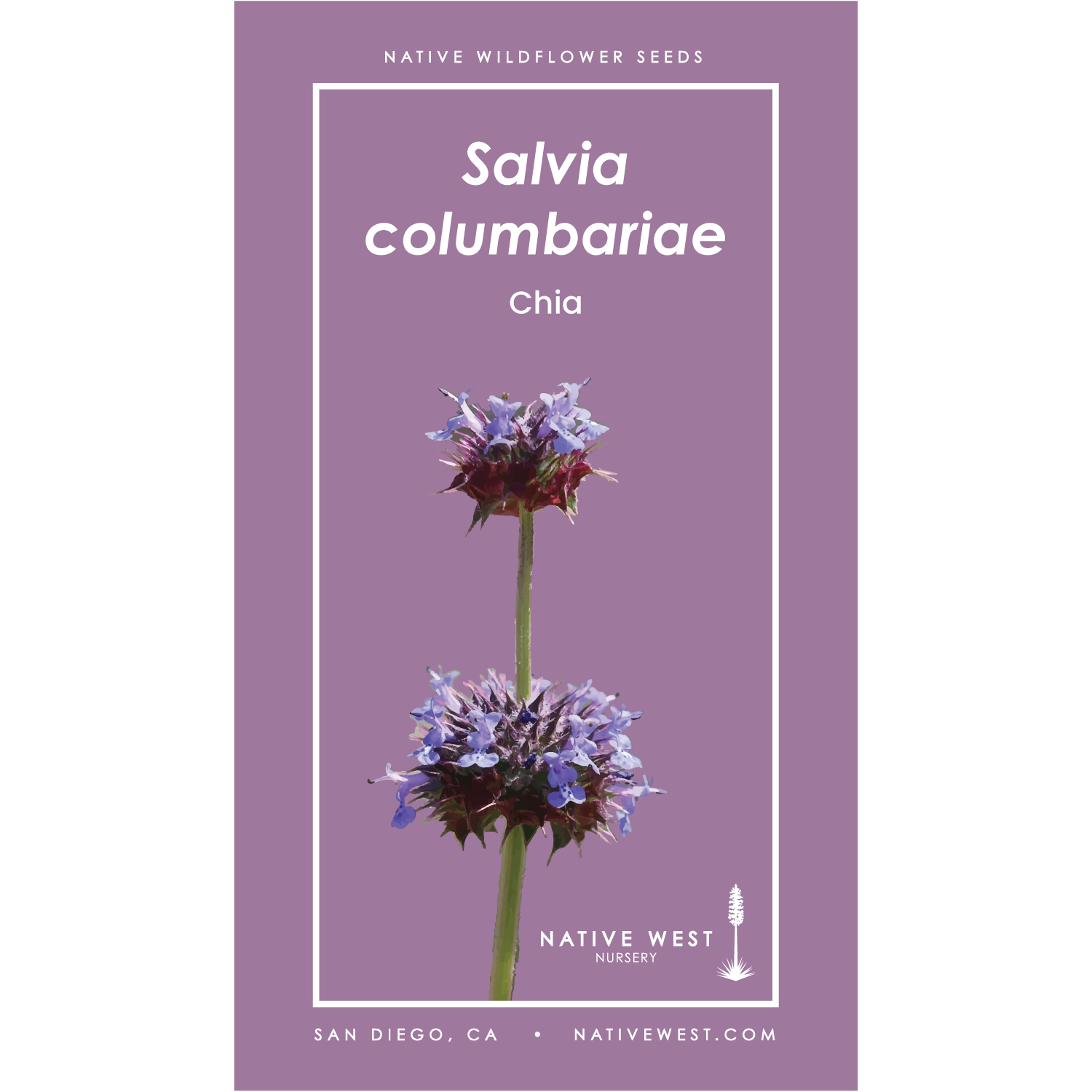 Seed packet design featuring Salvia columbariae (Chia) with an illustration of a Chia flower on a purple background.