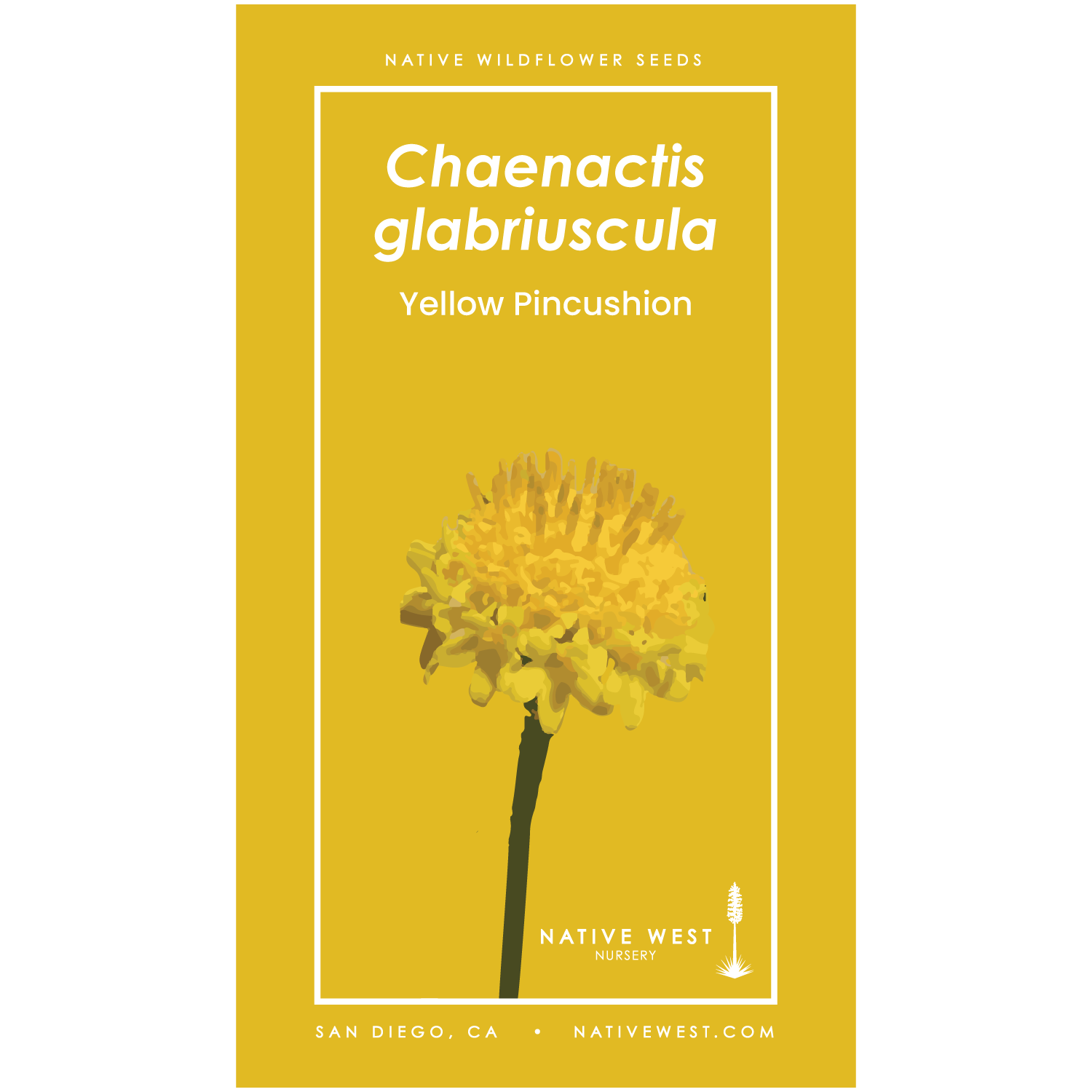 Seed packet for Yellow Pincushion (Chaenactis glabriuscula) with a simple illustration of the flower on a yellow background.