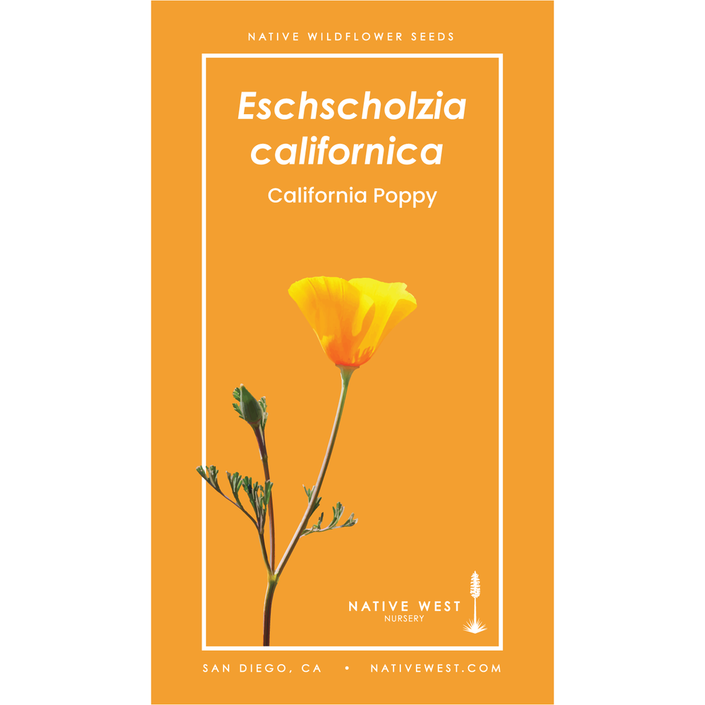 wildflower seeds partial shade Partial Shade Custom Wildflower Seed Packet (Pack of 10) main image 0
