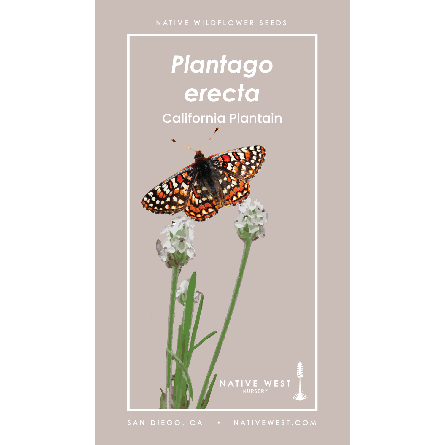 California Native Wildflower Seed Mix — Native West Nursery