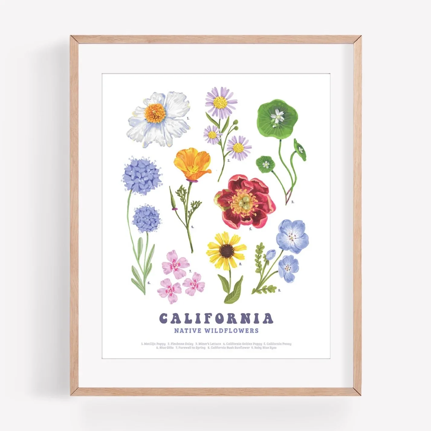Wildflowers (1).jpg