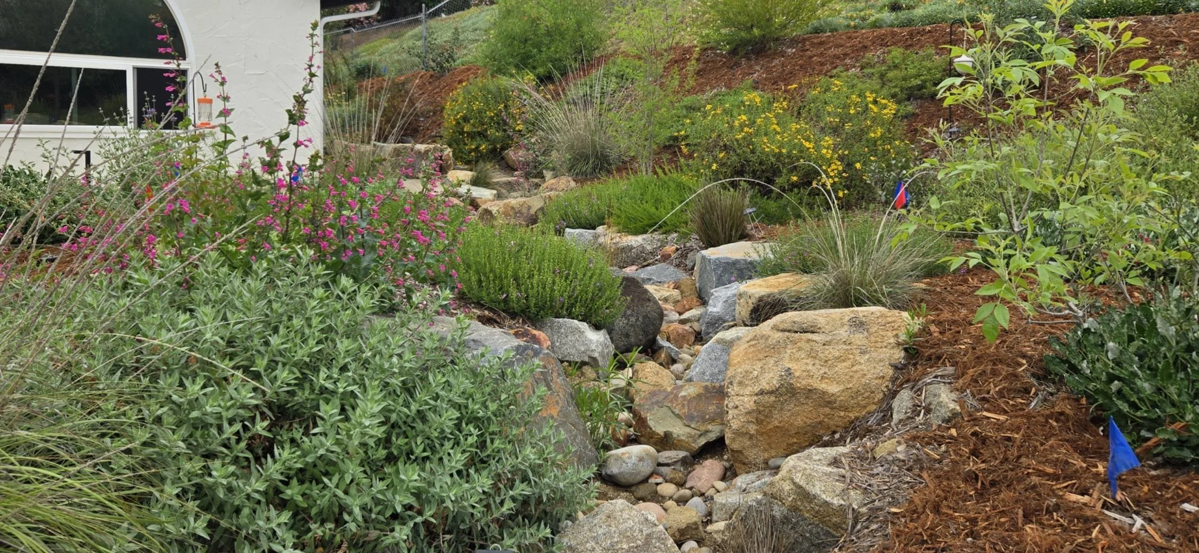 Calown Landscape Designers — Native West Nursery - California Native Plants