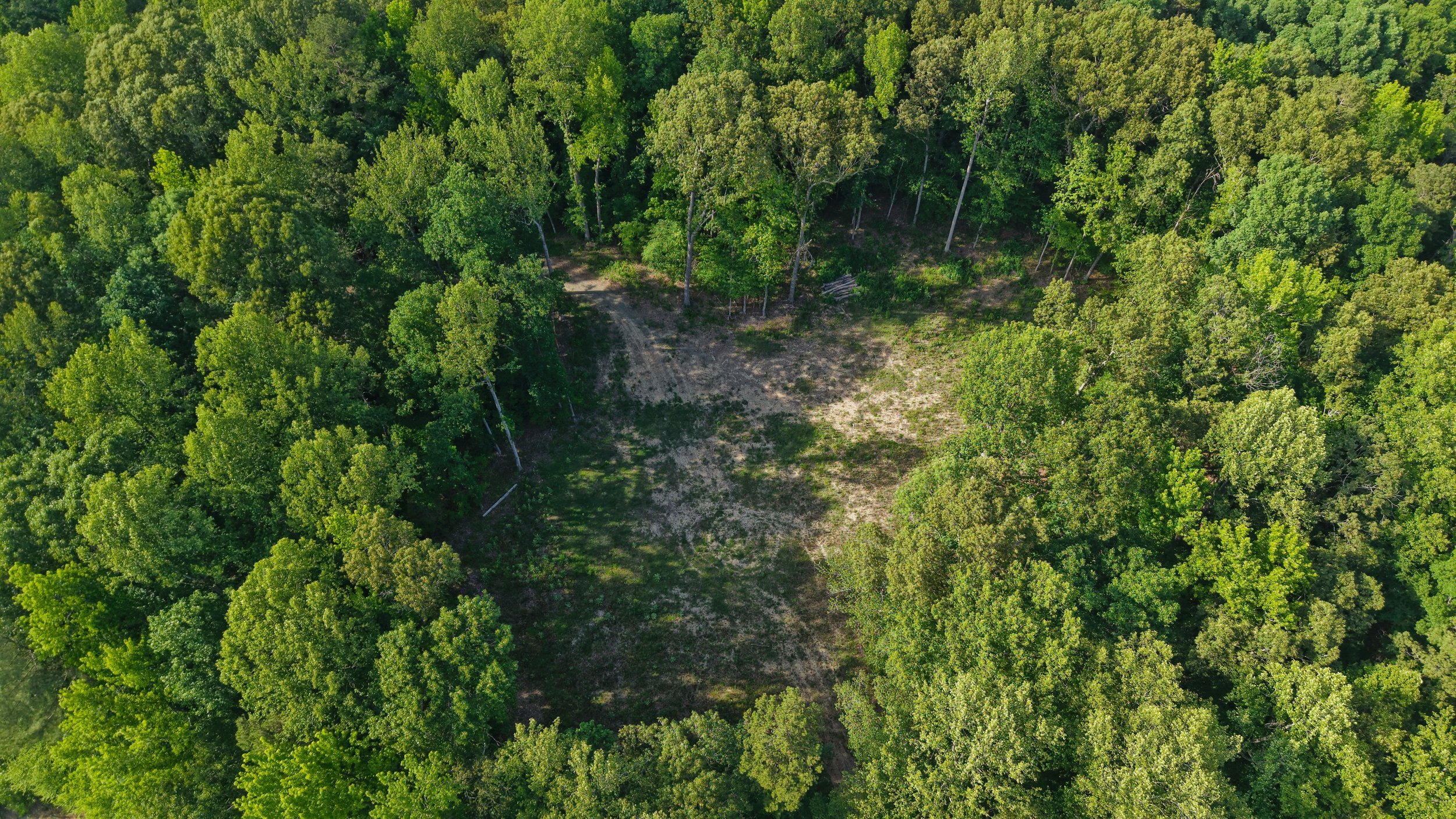 Overhead - Cleared Area.jpg