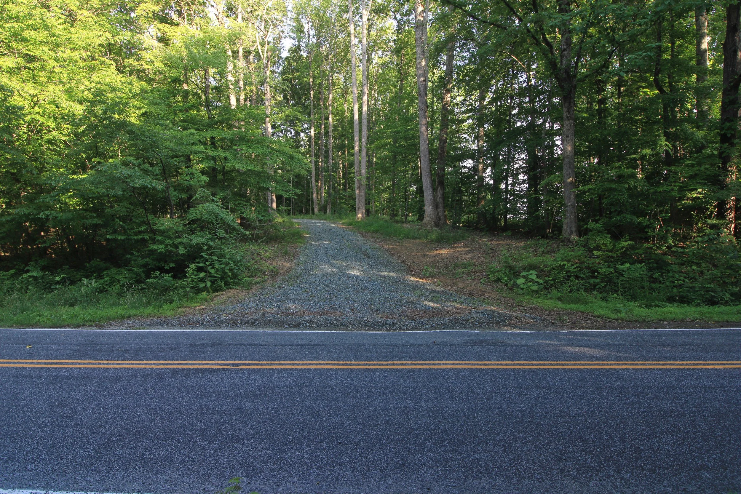 Driveway - Bottom.jpg