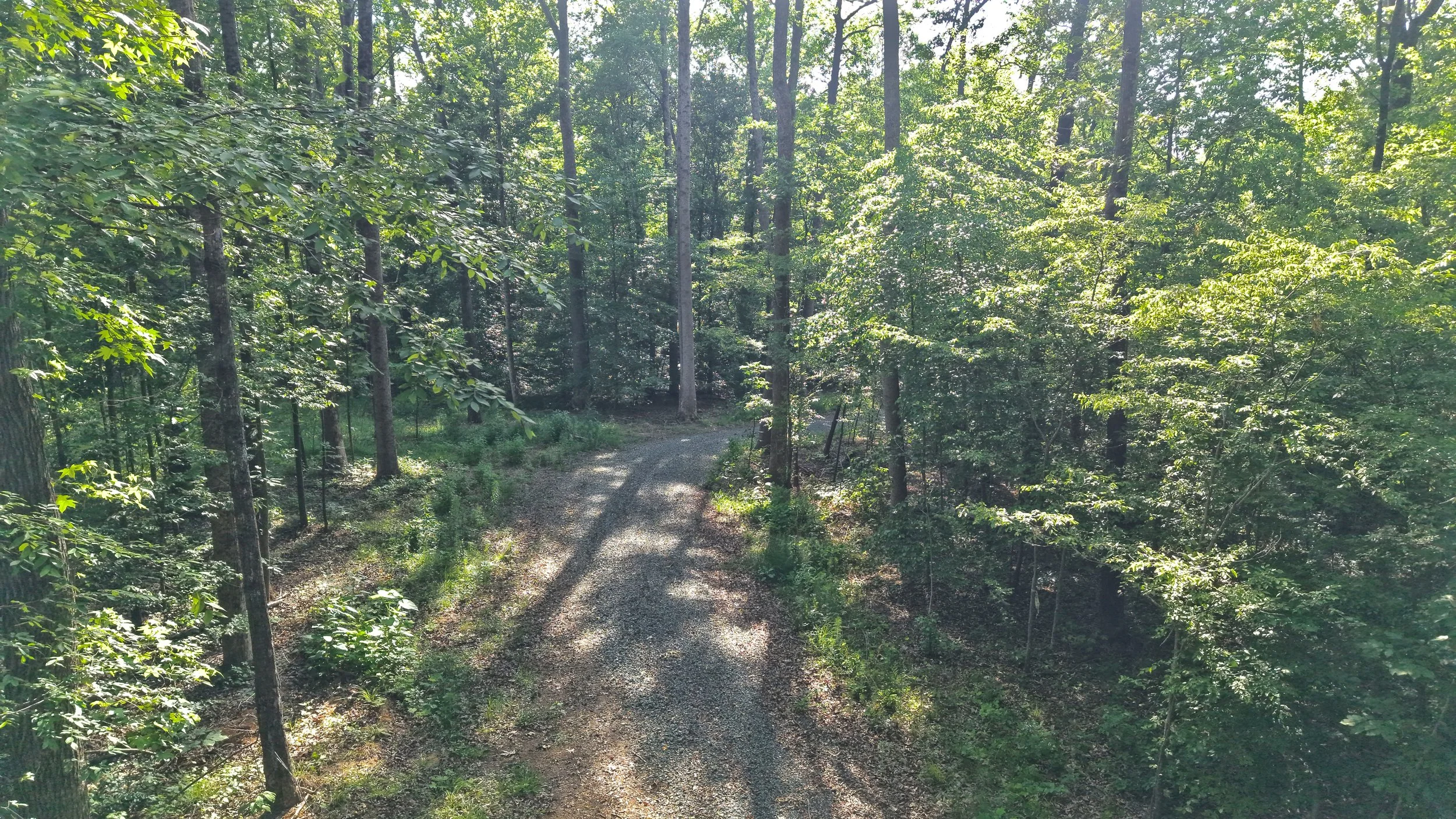 Driveway - Mid.jpg