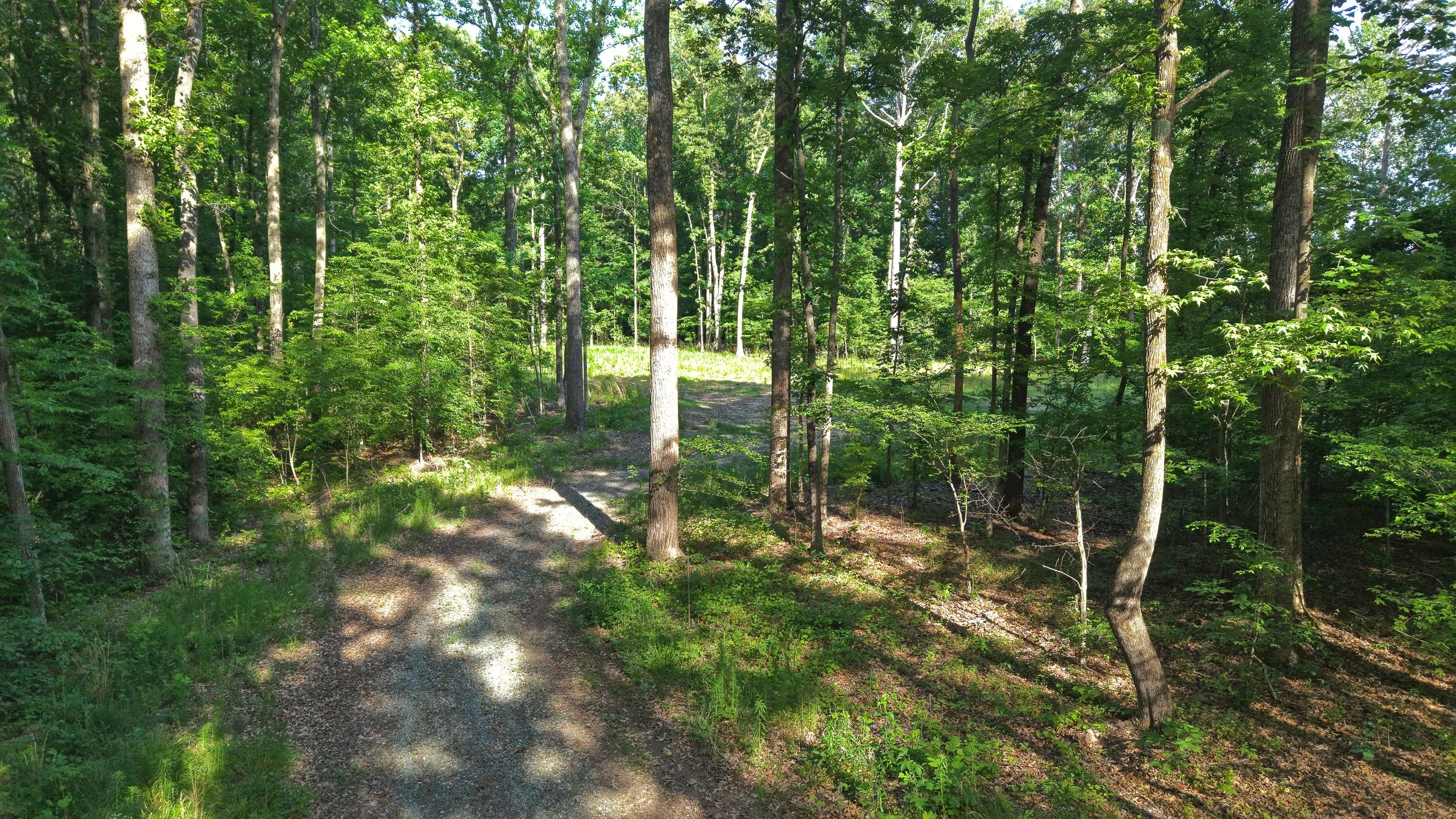 Driveway - Top.jpg