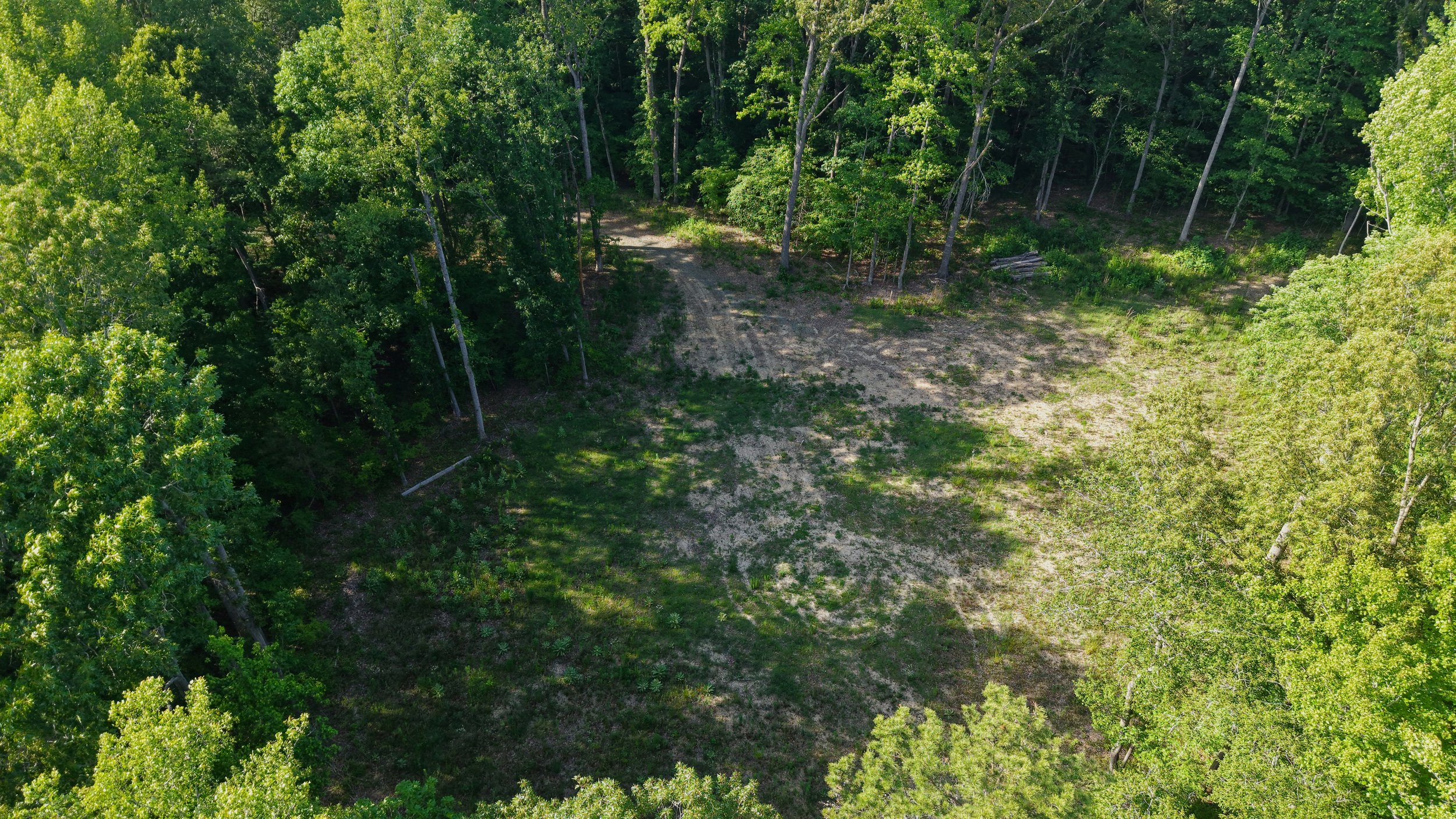 Close Overhead - Cleared Area2.jpg