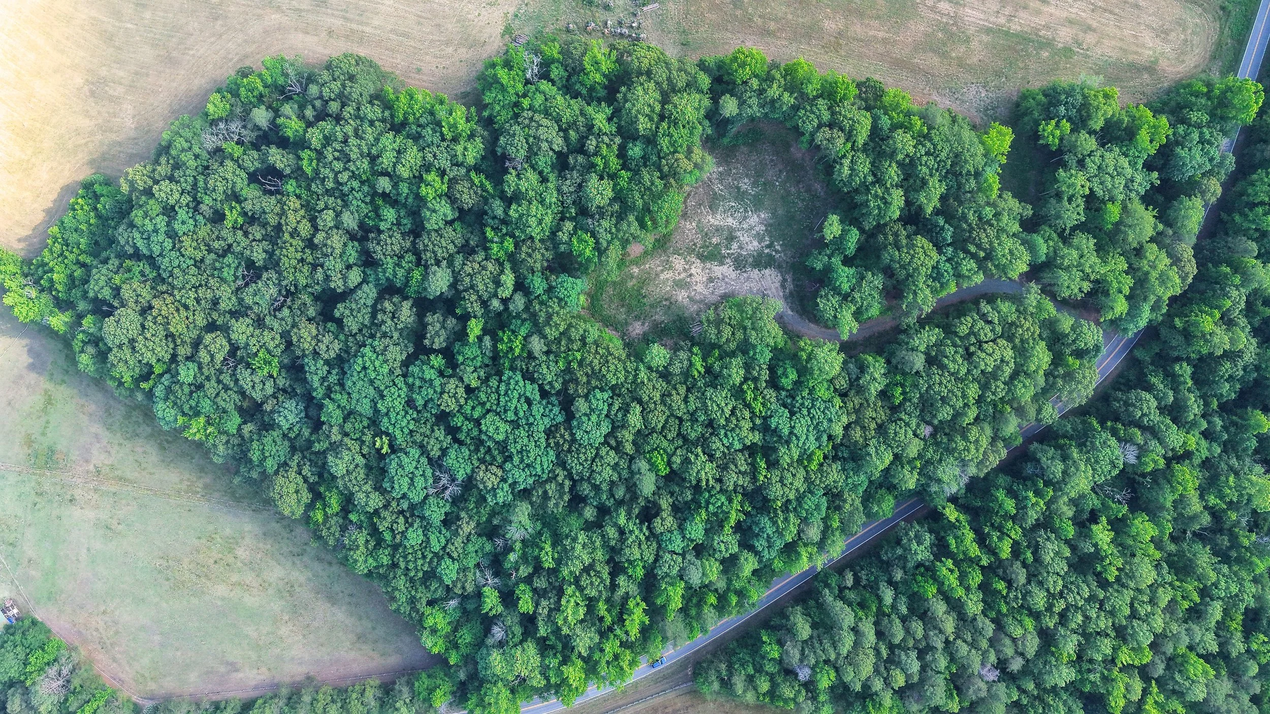 Overhead - Cleared Area2.jpg