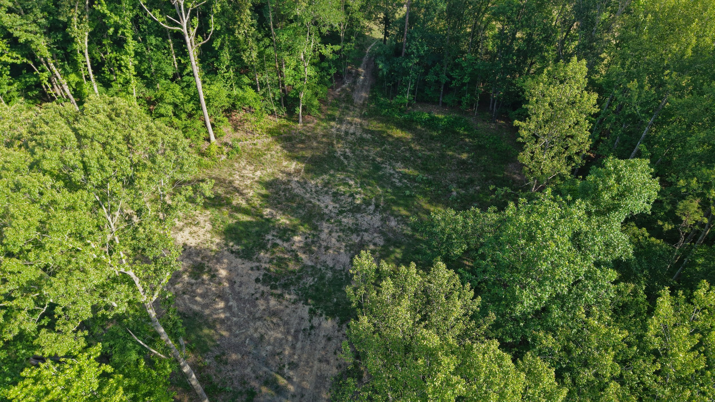 Close Overhead - Cleared Area.jpg