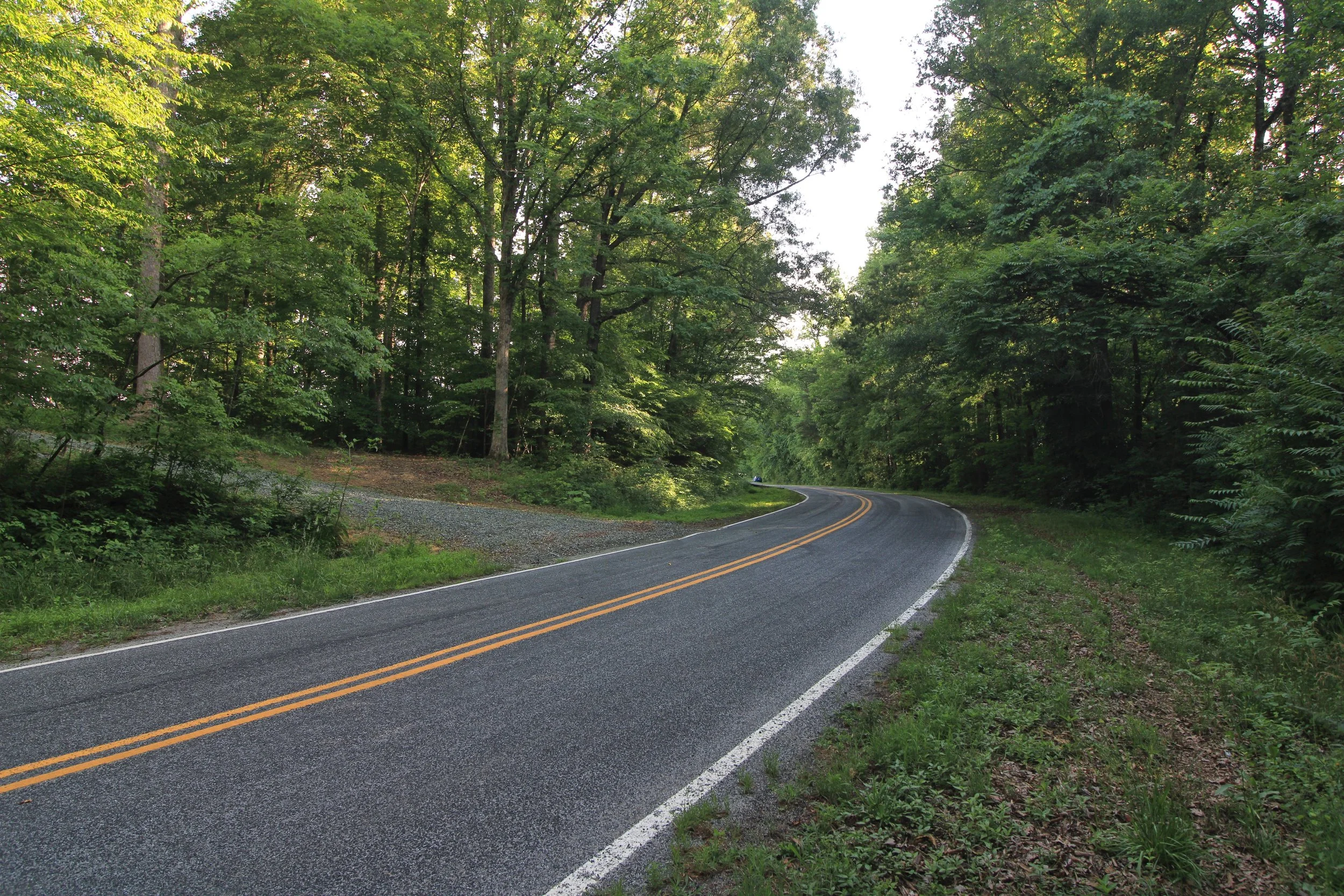 Driveway - Bottom3.jpg