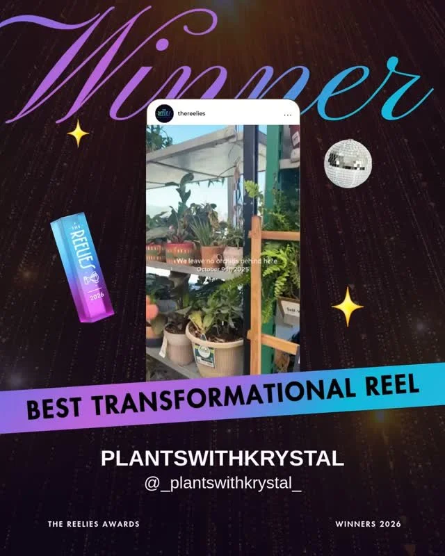 🏆 AND THE WINNER IS... @_plantswithkrystal_⁠
⁠
Congrats on winning 4 awards!!⁠ 👏⁠
⁠
🏆 Best Transformational Reel⁠
🏆 Cutest Reel⁠
🏆 Most Unhinged Reel⁠
🏆 Best Commitment to The Reel