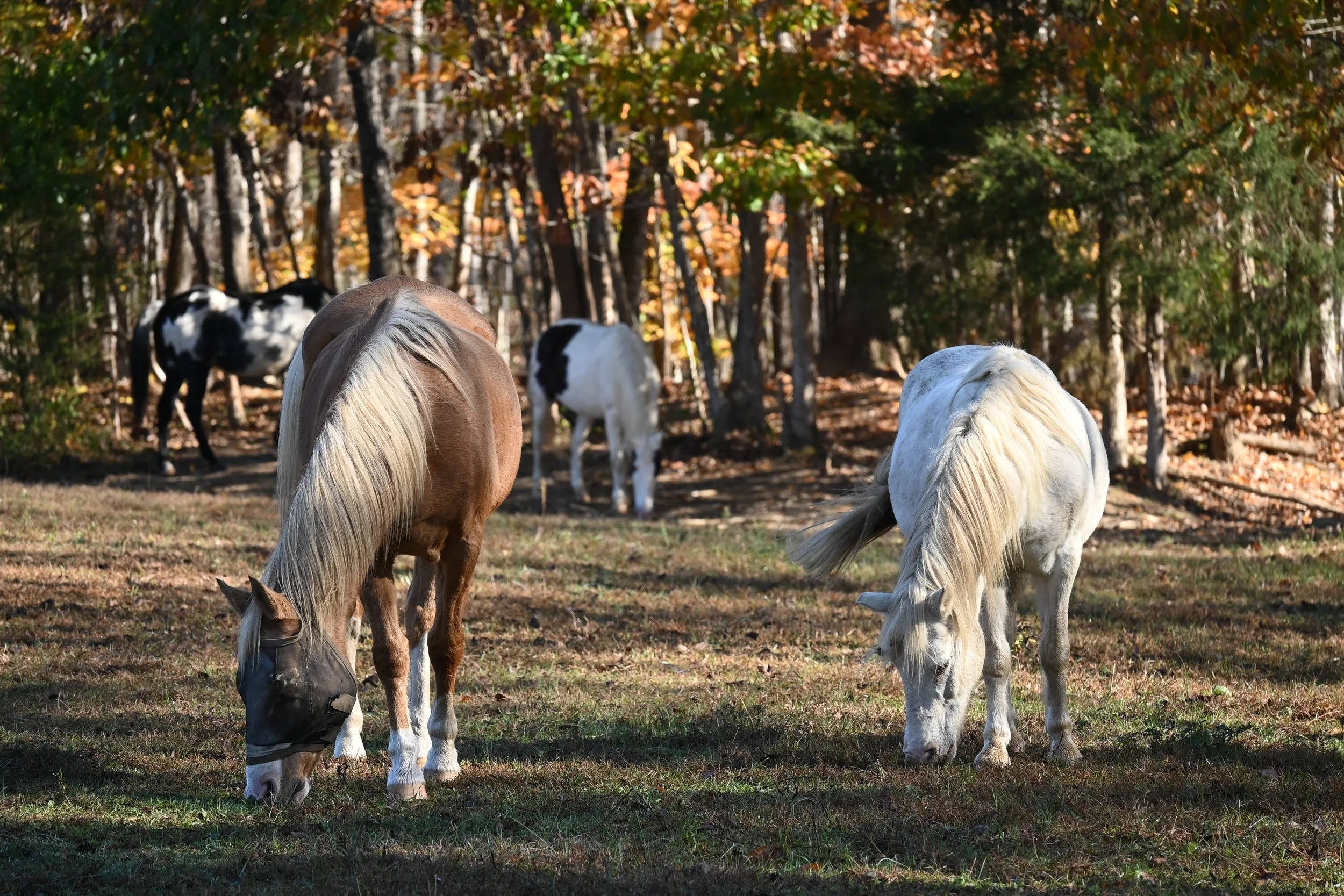DSC_3776.jpg