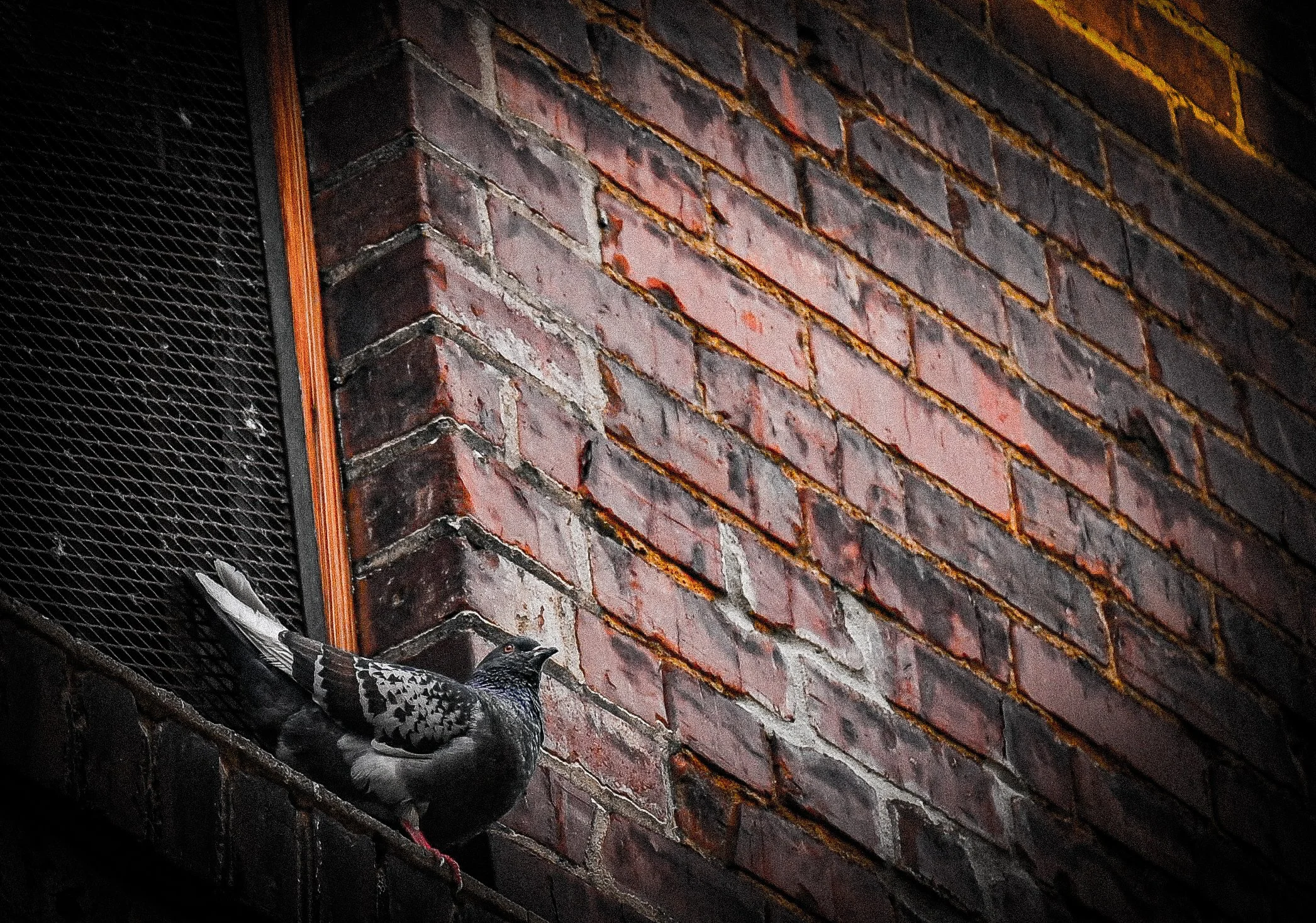 DSC_5883.jpg