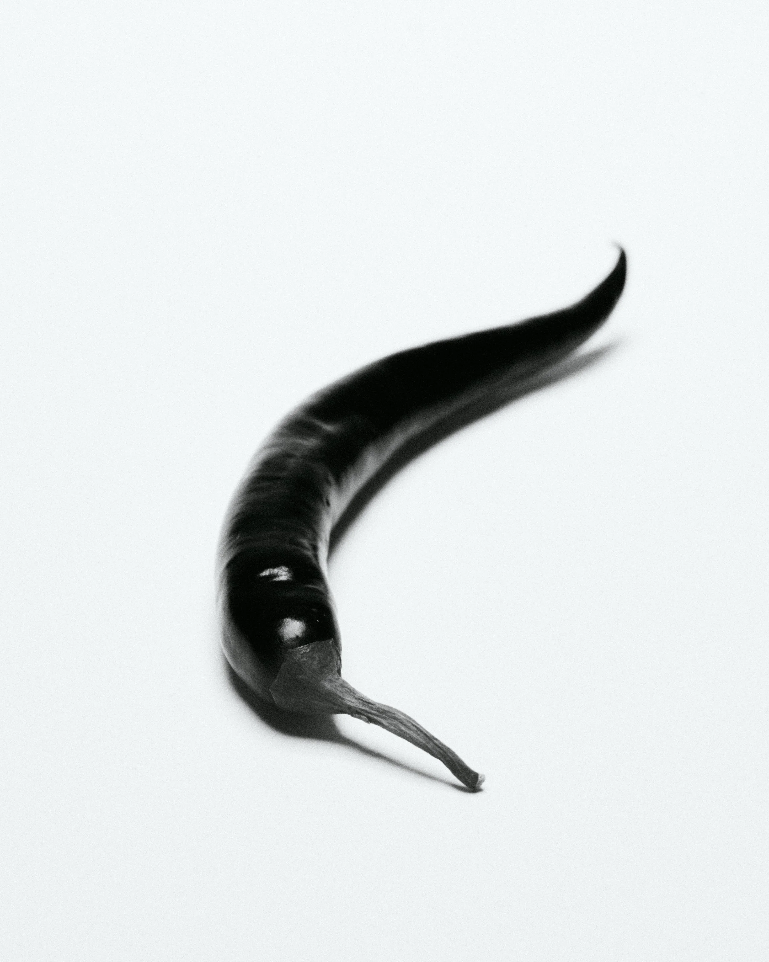 TEST NATURE MORTE1815.jpg